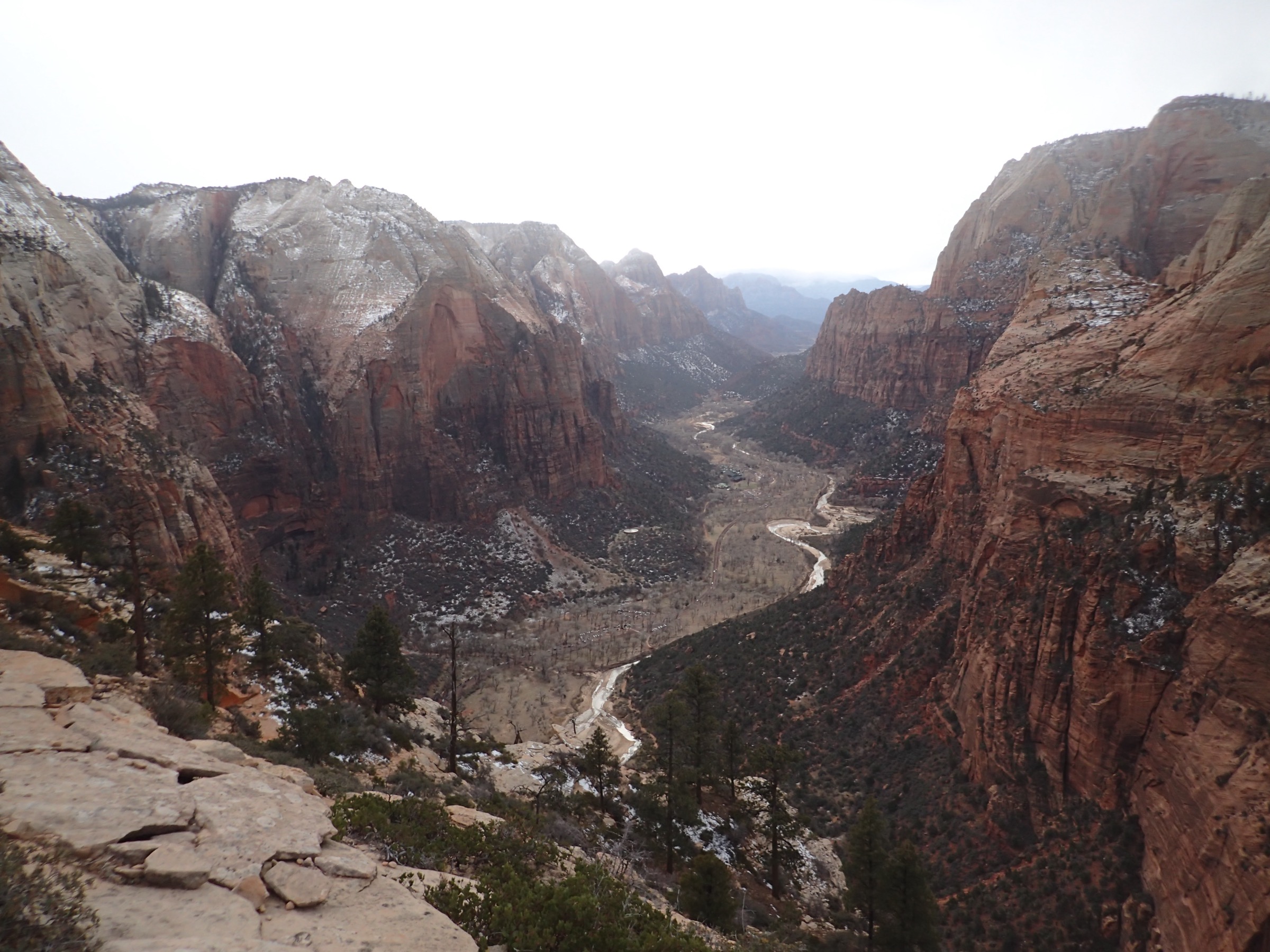 Vue depuis Angels Landing plongeant sur Zion Canyon