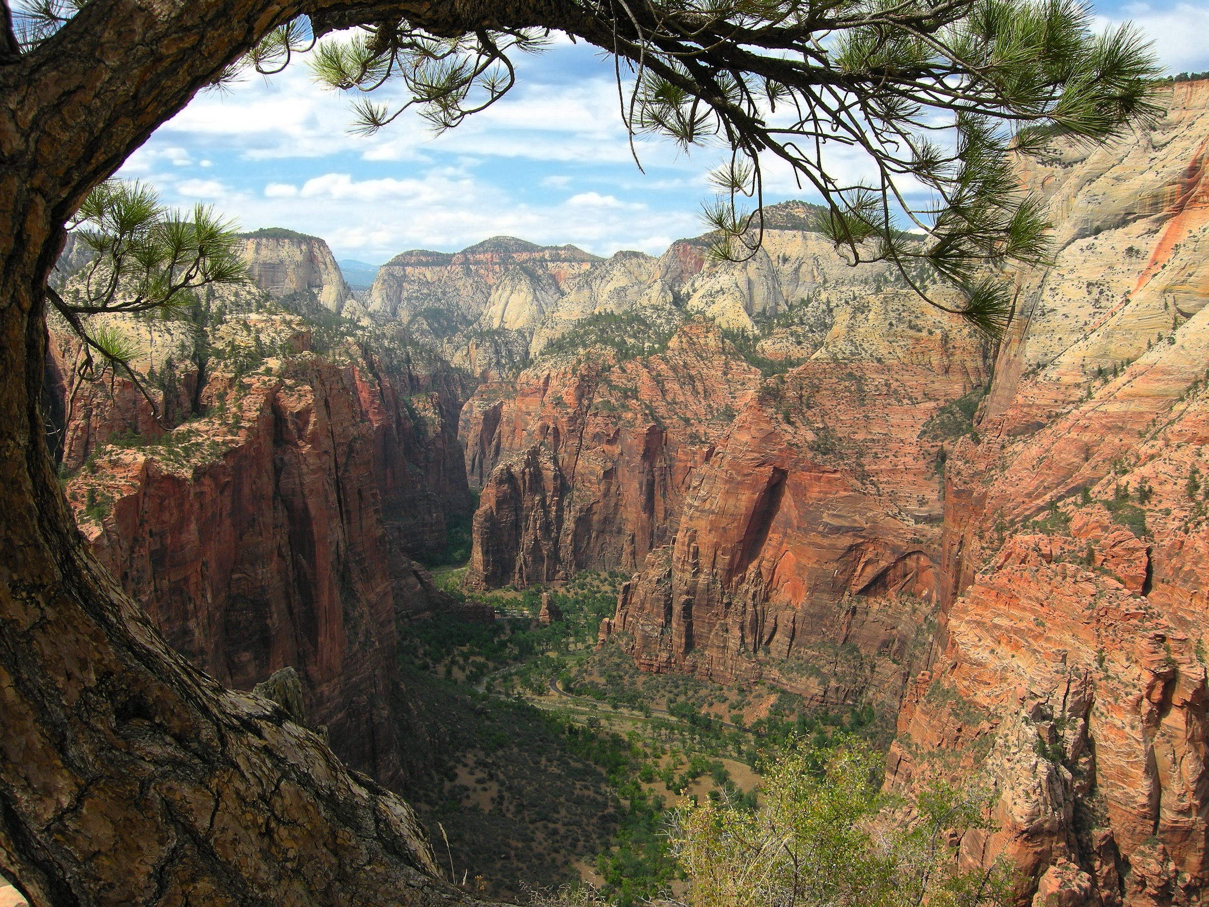 USA — Zion / Kolob Canyons: essential day-hikes