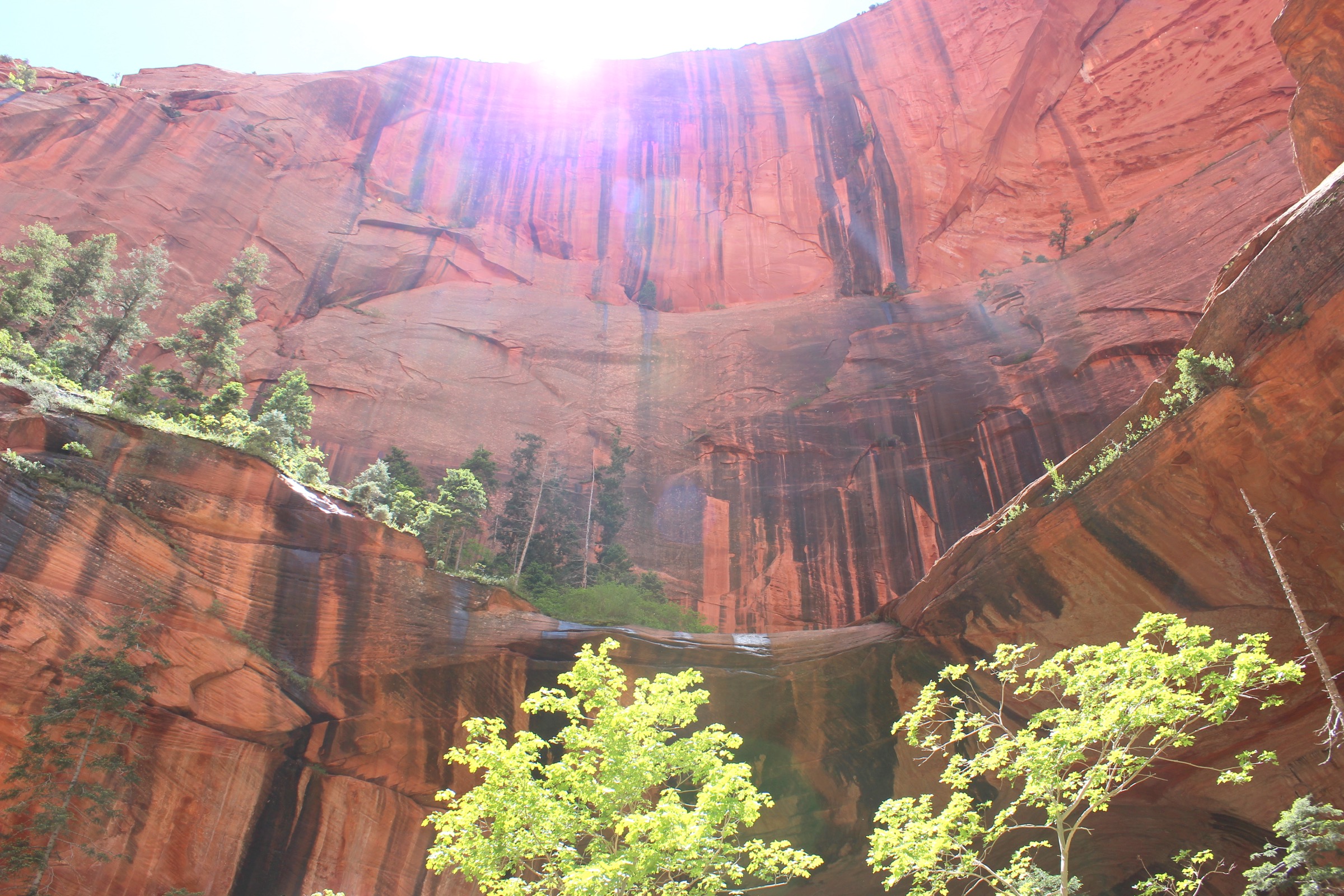 Double Arch Alcove au bout du Taylor Creek Trail à Kolob Canyons