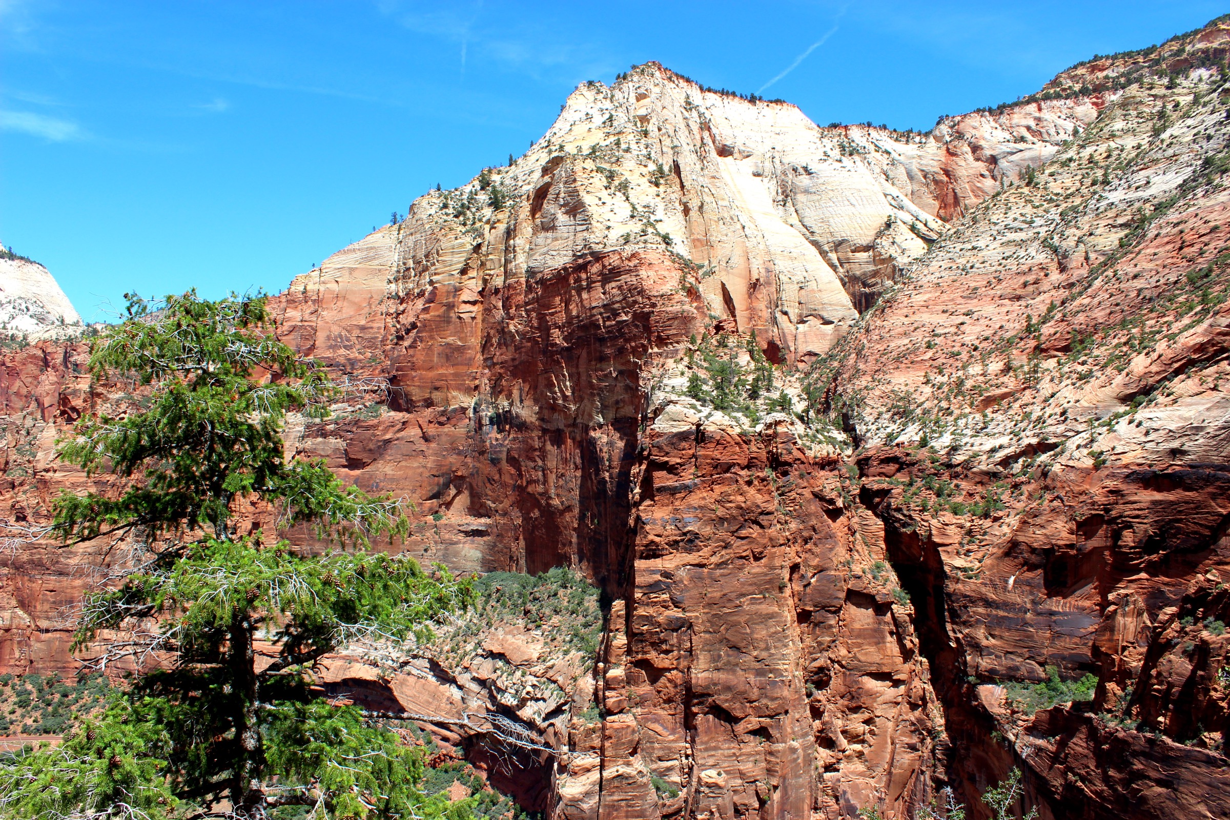 Belvédère d'Observation Point au-dessus de Zion Canyon depuis l'East Mesa Trail