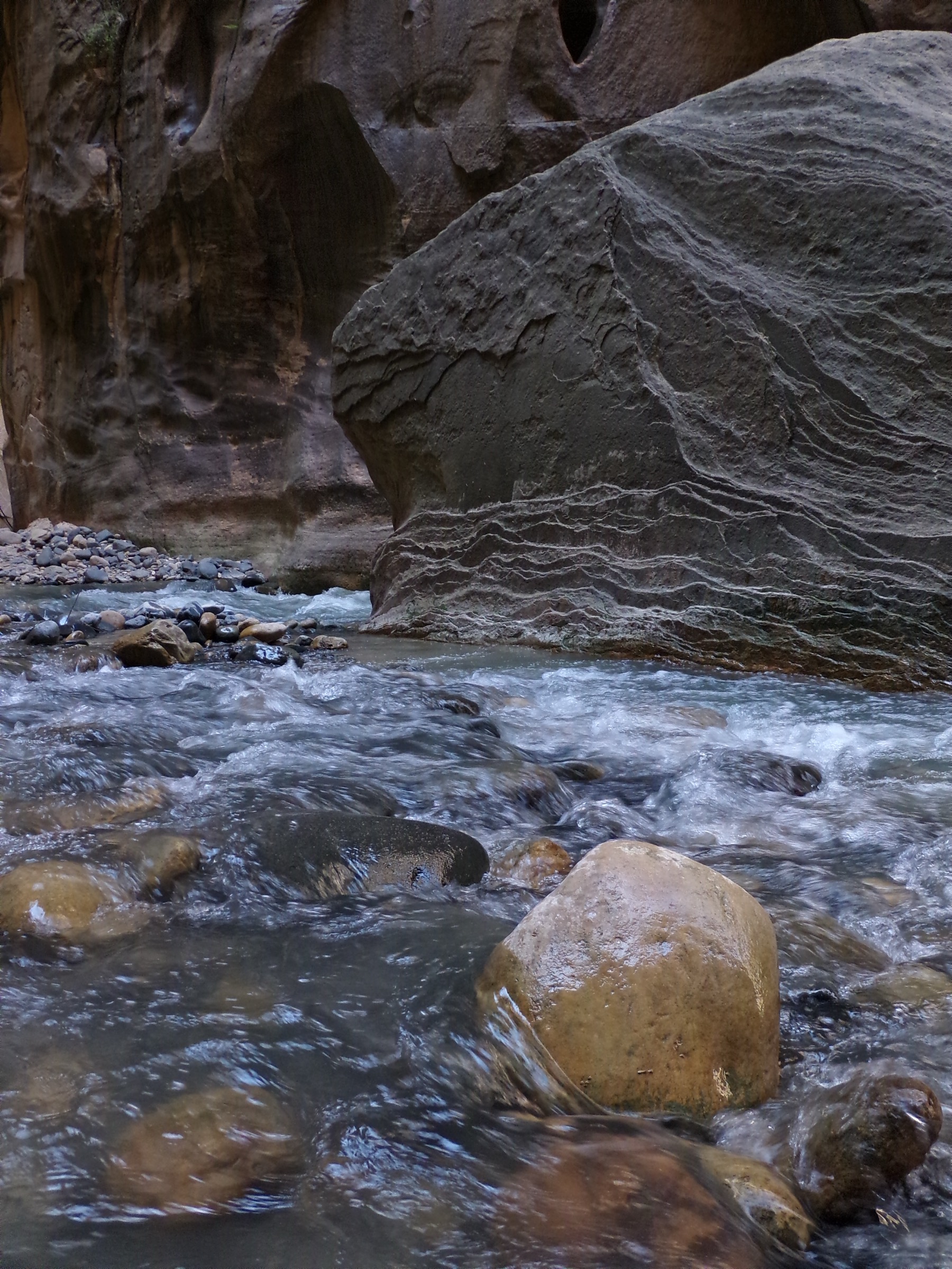 Randonneurs remontant à gué The Narrows de la Virgin River