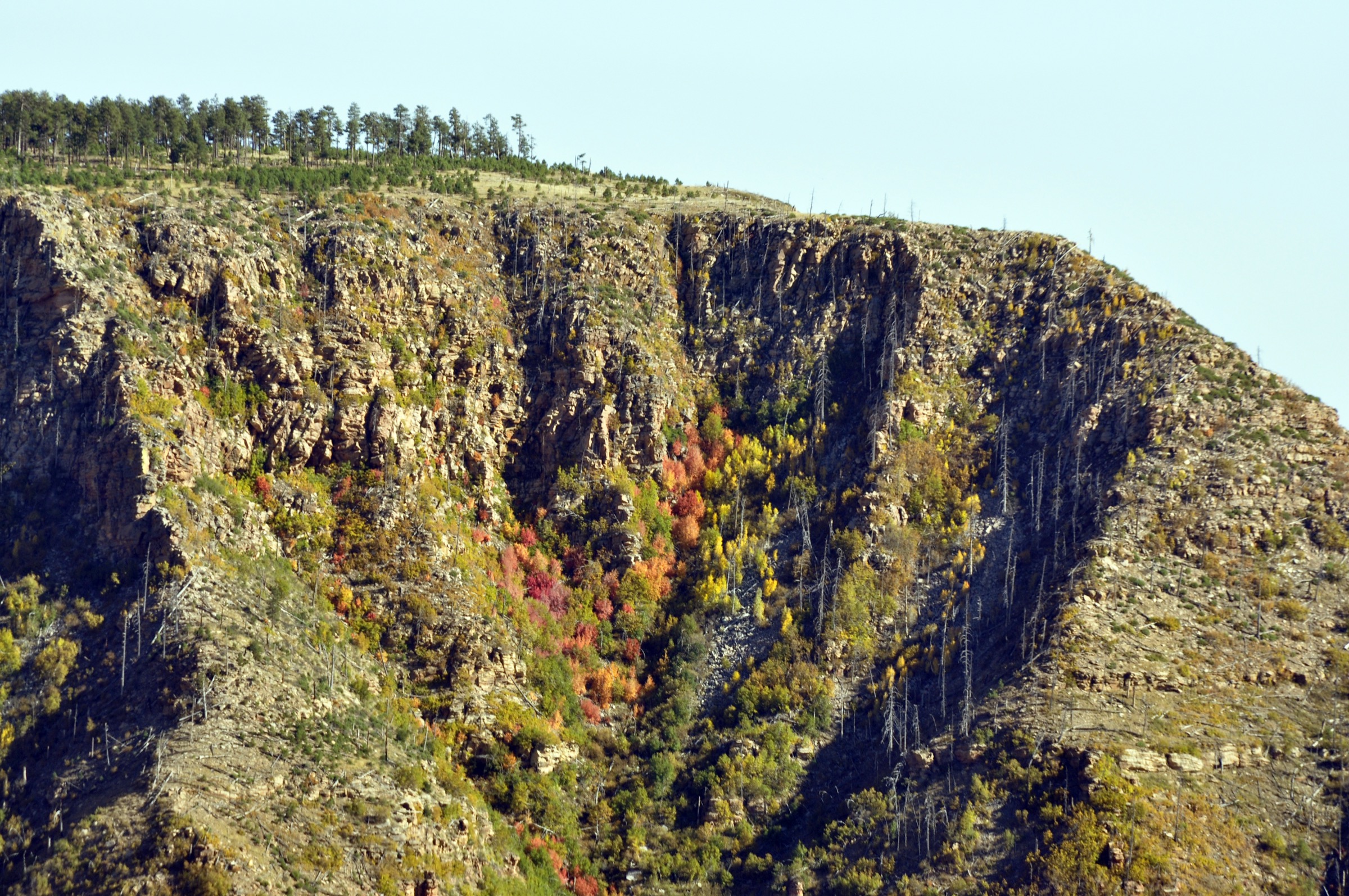 USA — Mogollon Rim, Arizona: essential day-hikes