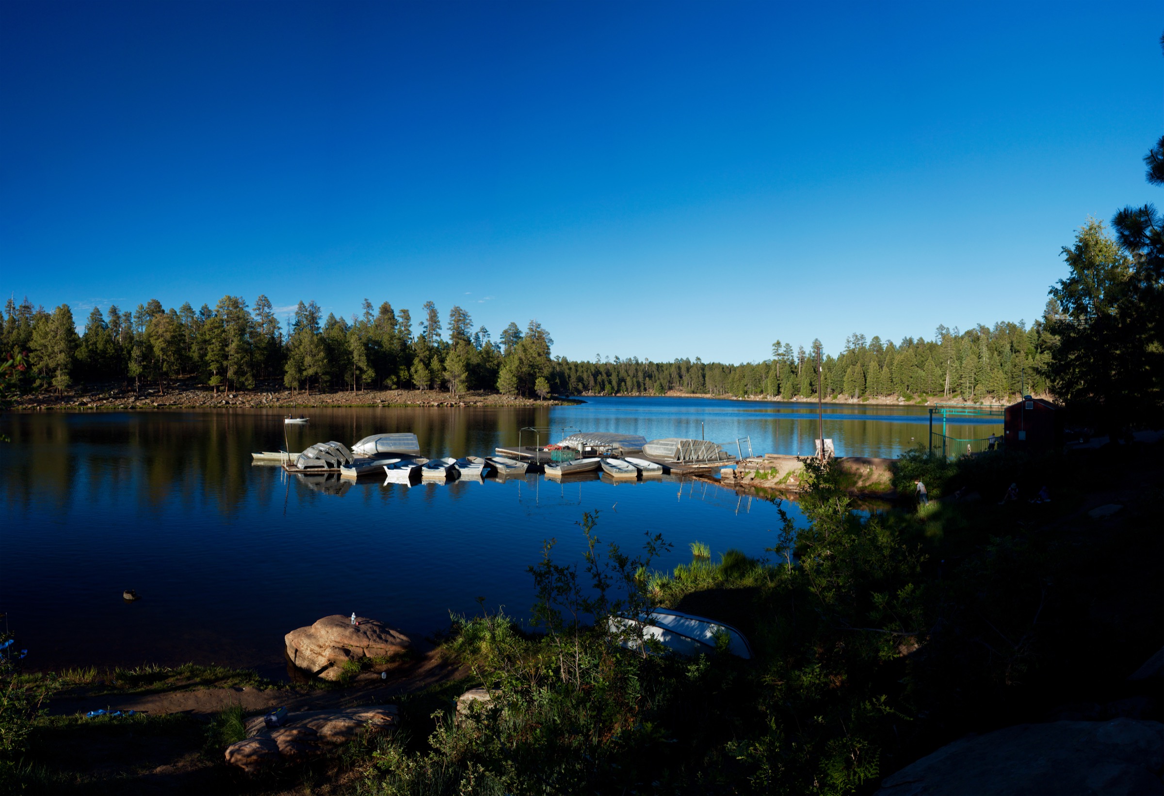 Woods Canyon Lake dans la Rim Lakes Recreation Area au sommet du Mogollon Rim, Arizona