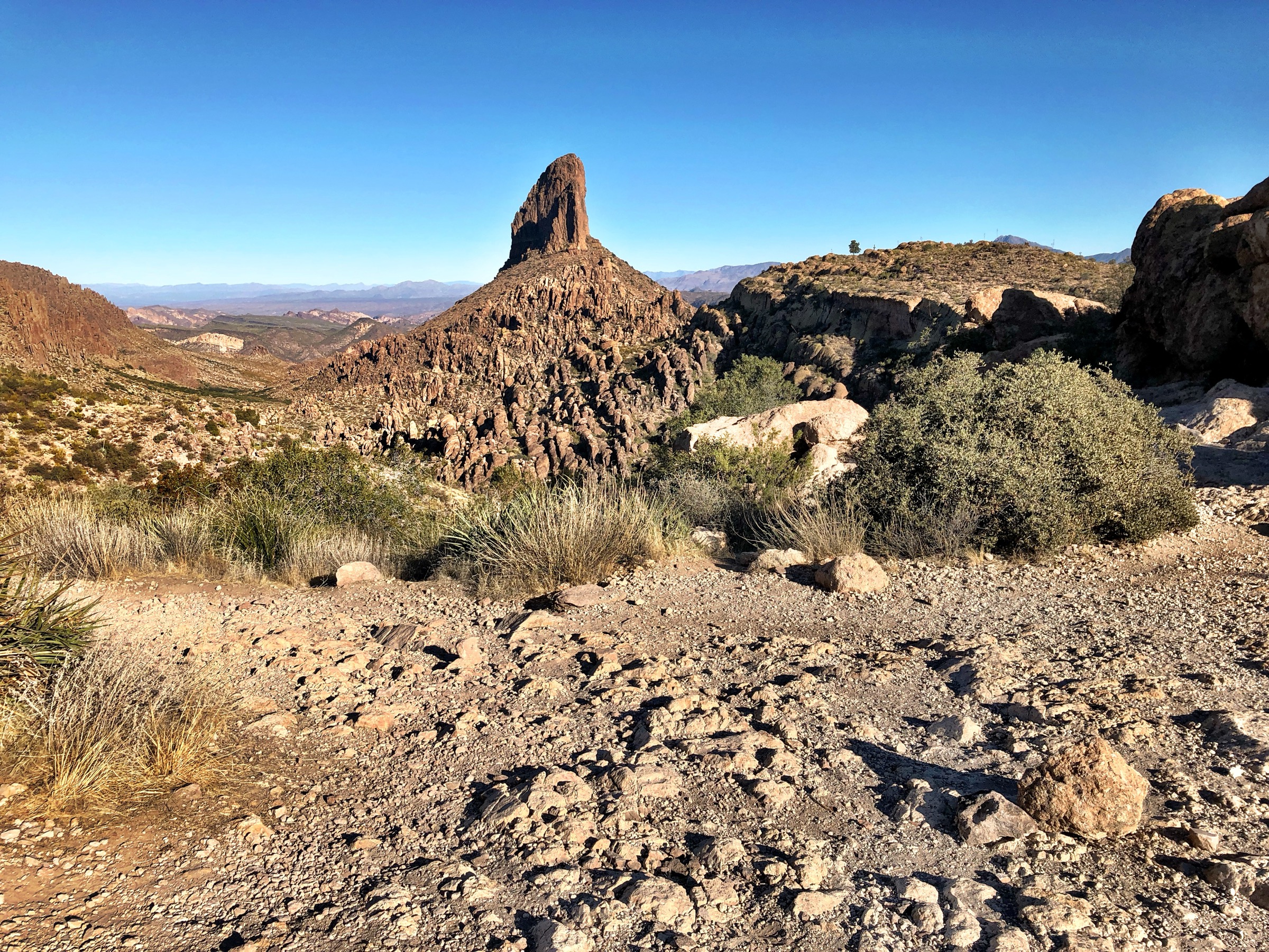 Weaver's Needle depuis Fremont Saddle sur le Peralta Canyon Trail, Superstition Wilderness, Arizona