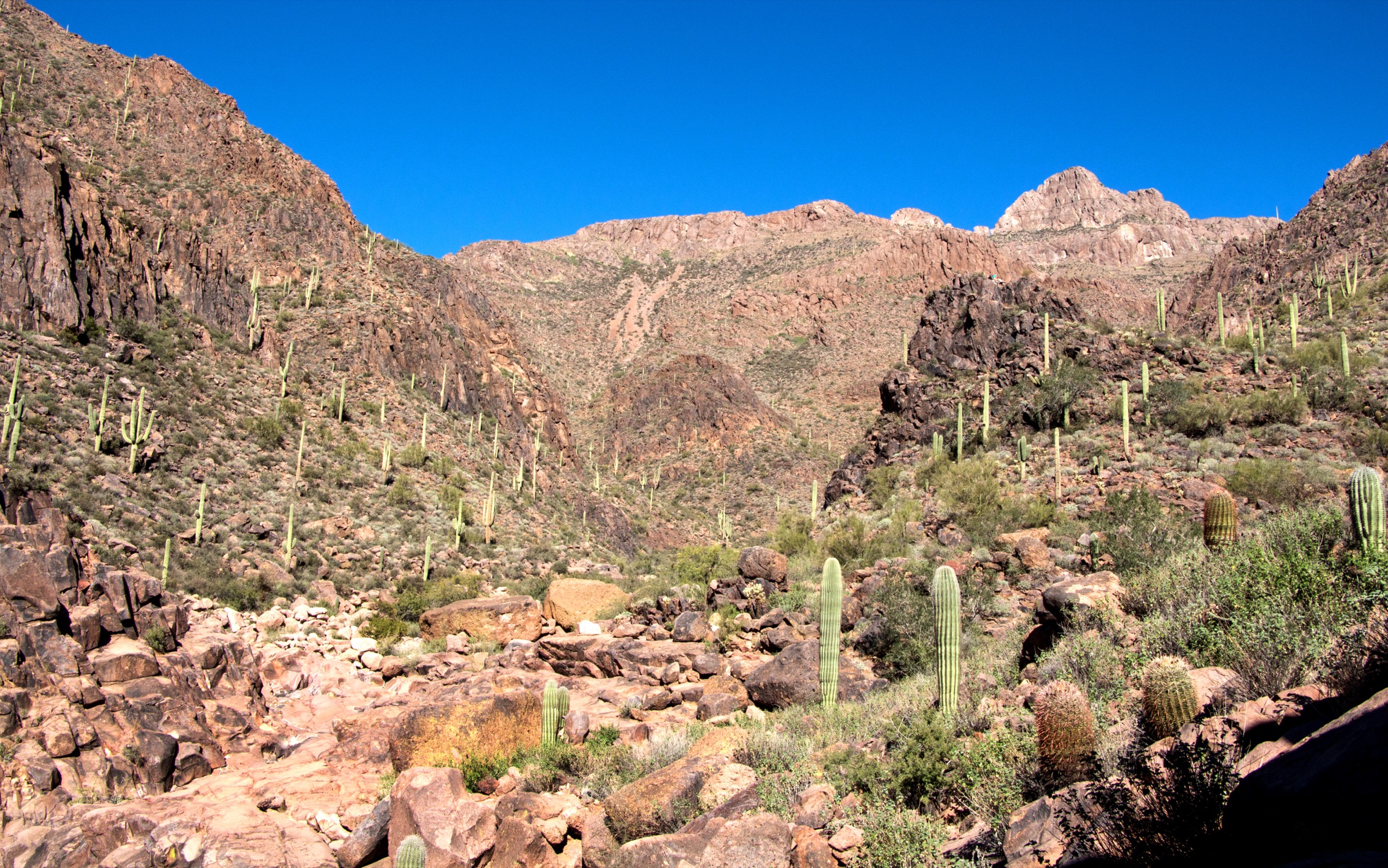 Vue de canyon sur le Hieroglyphic Trail, Superstition Mountains, Arizona