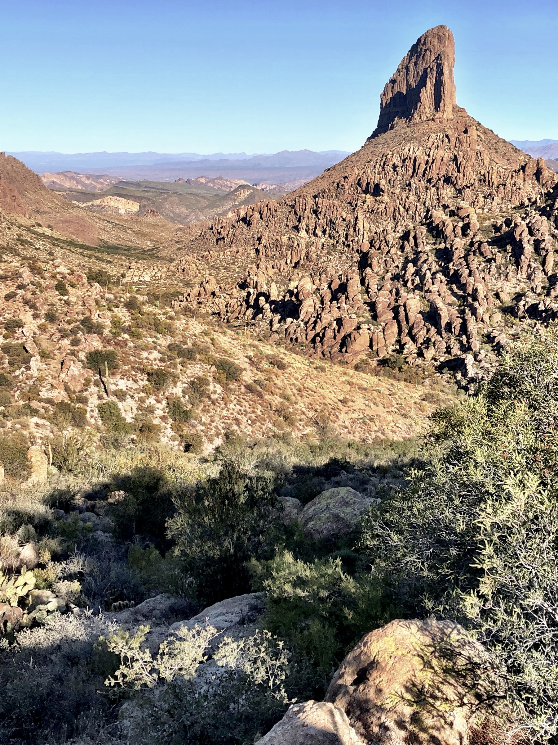 Weaver's Needle depuis Fremont Saddle, Peralta Canyon Trail, Superstition Wilderness, Arizona