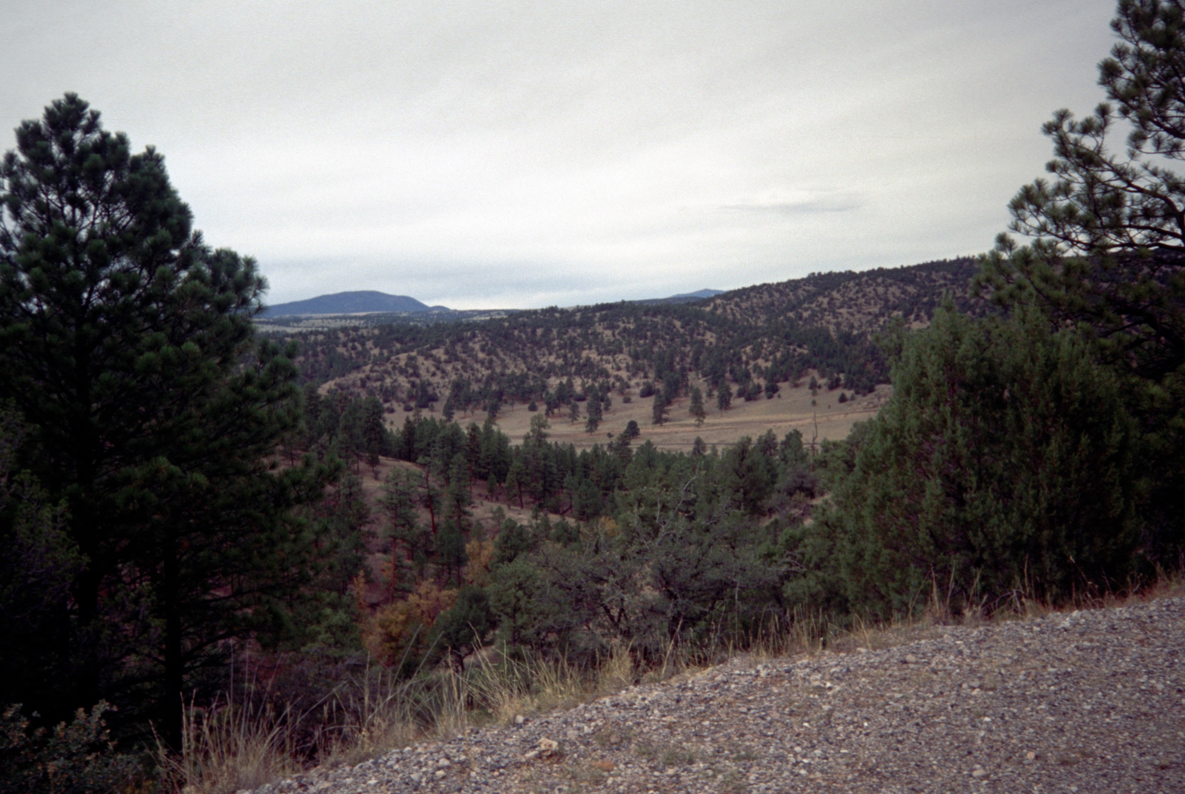 Vue sur la Beaverhead Valley dans la Black Range, sud-ouest du Nouveau-Mexique