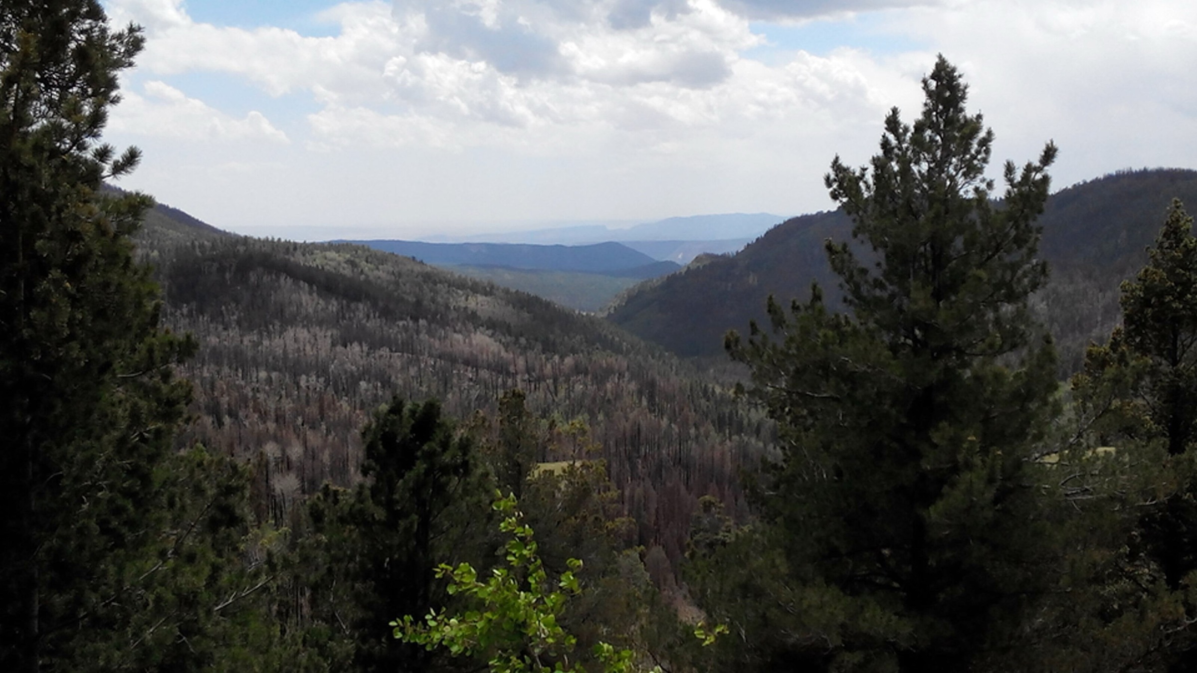 Vue panoramique sur Valles Caldera depuis le Redondo Overlook, nord du Nouveau-Mexique