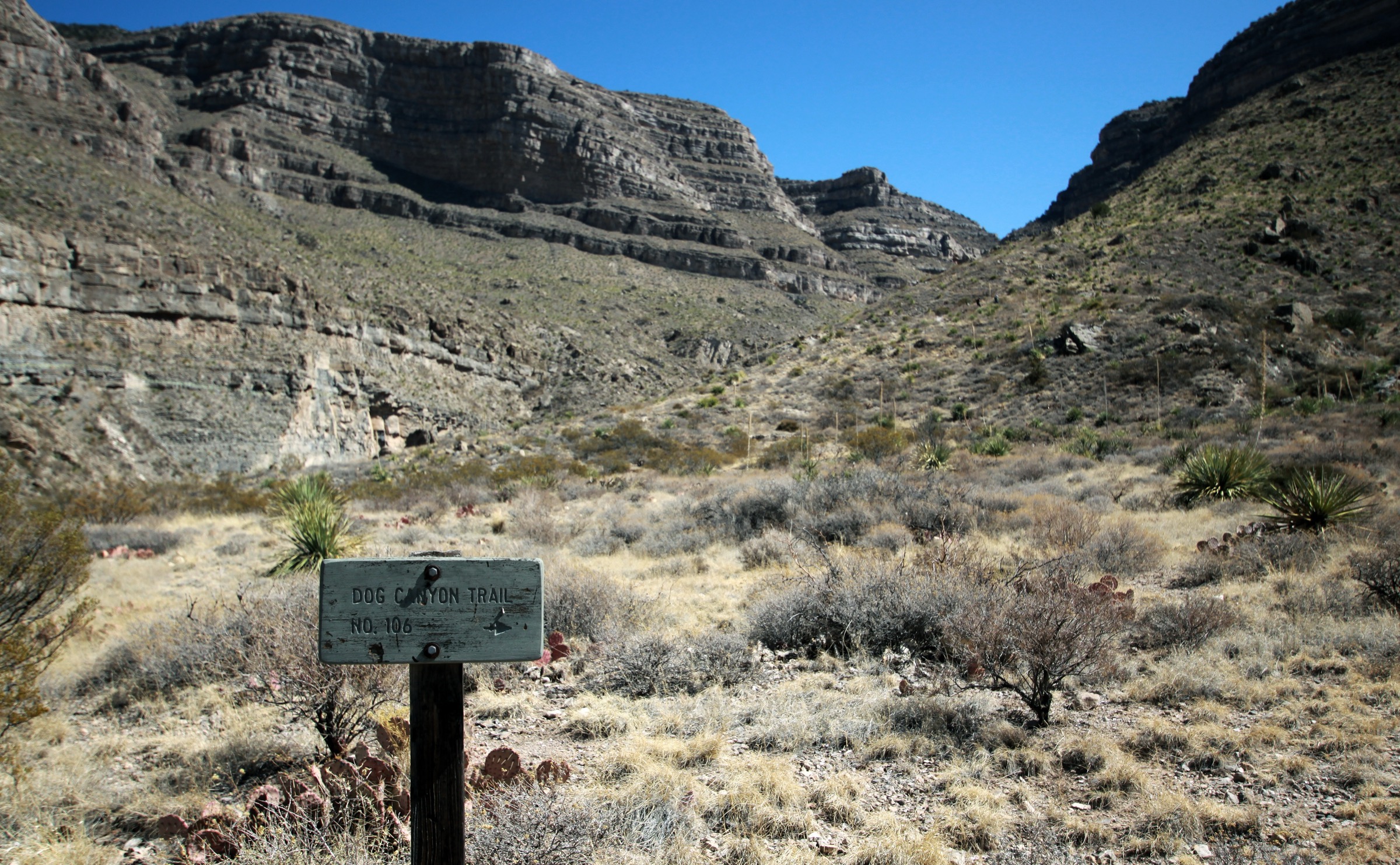 Looking up into Dog Canyon on the western escarpment of the Sacramento Mountains above Oliver Lee State Park