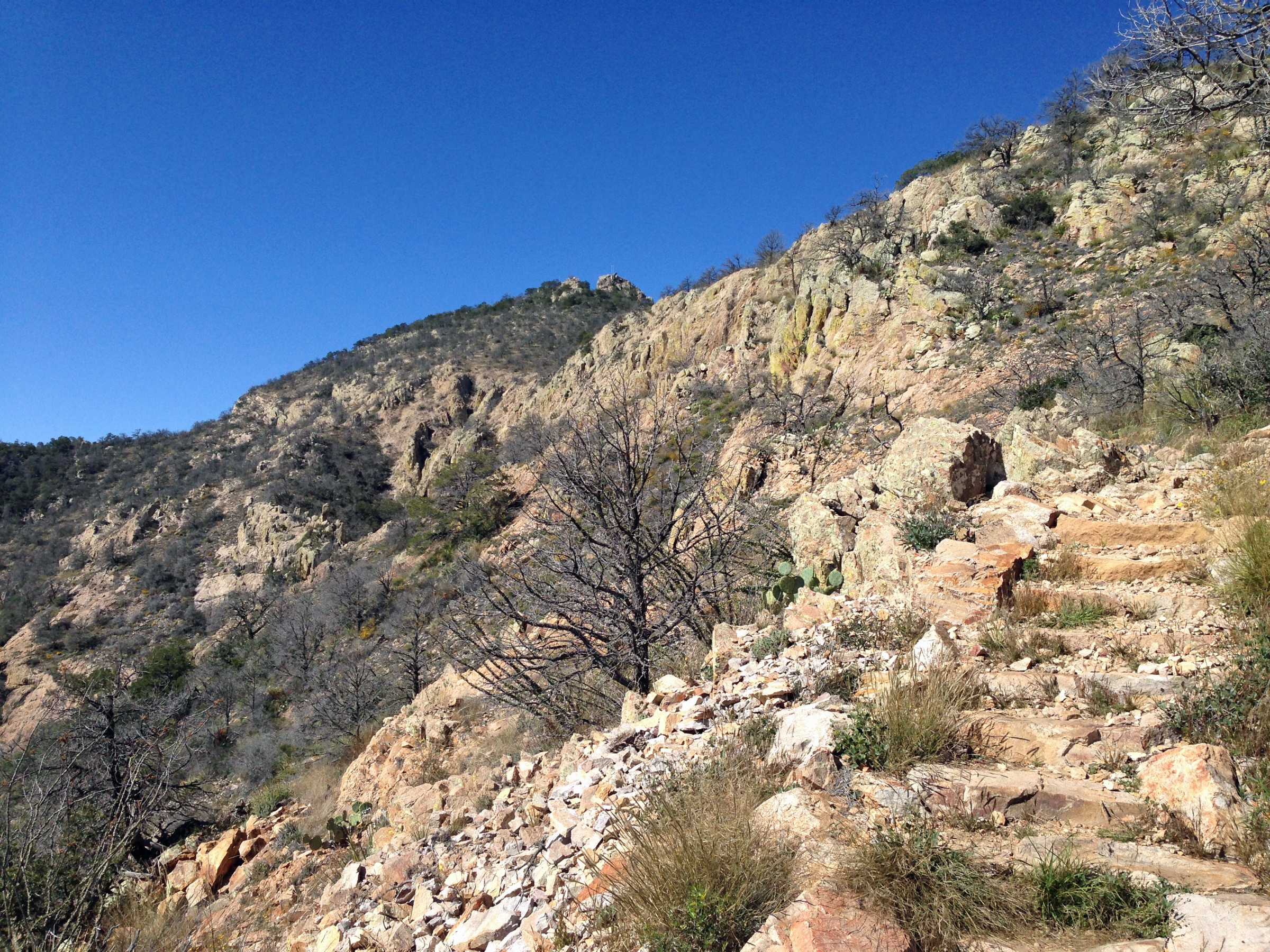 Emory Peak from the Pinnacles Trail, Chisos Mountains, Big Bend National Park