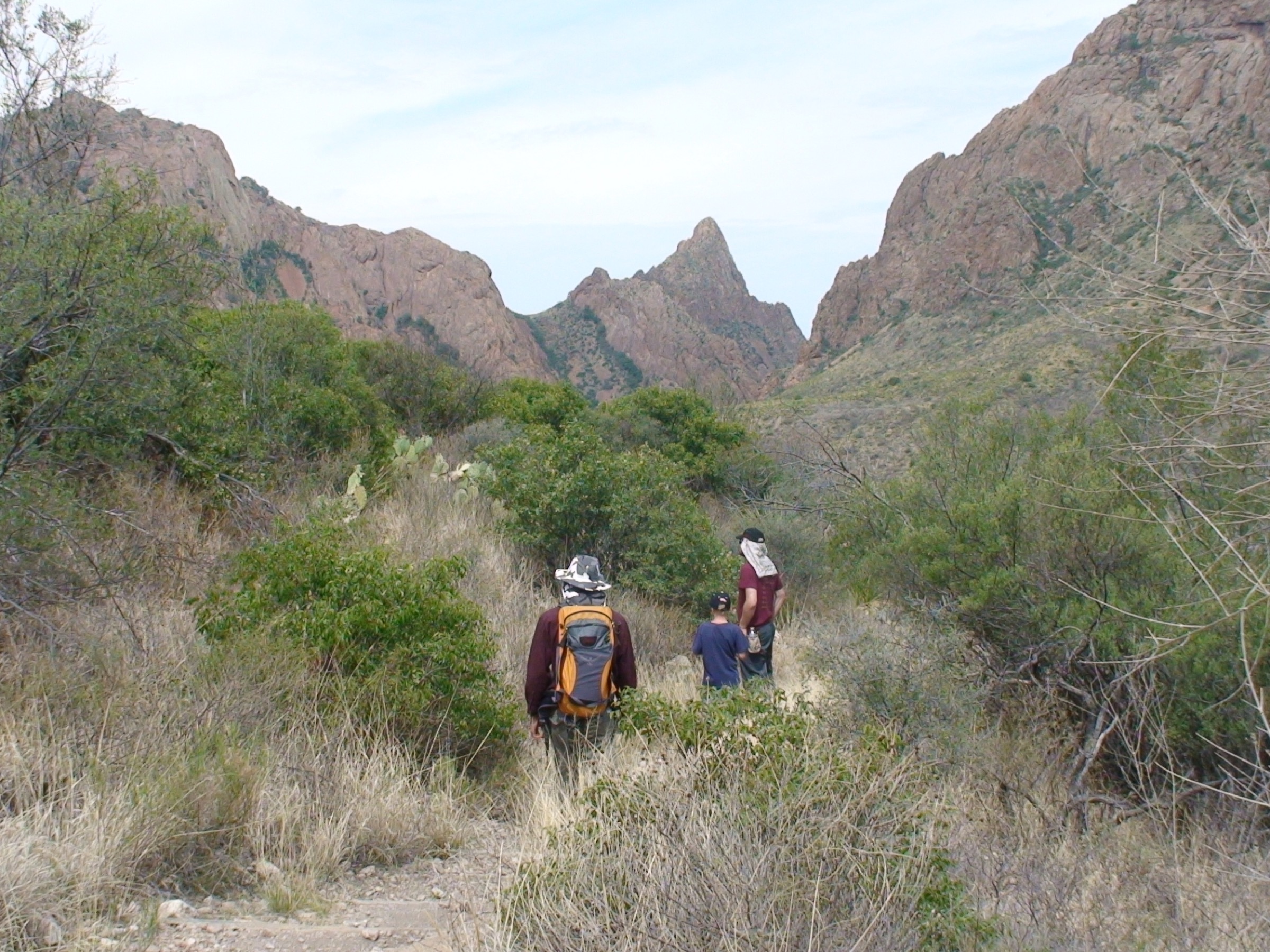 Hikers on the Window Trail, Chisos Basin, Big Bend National Park