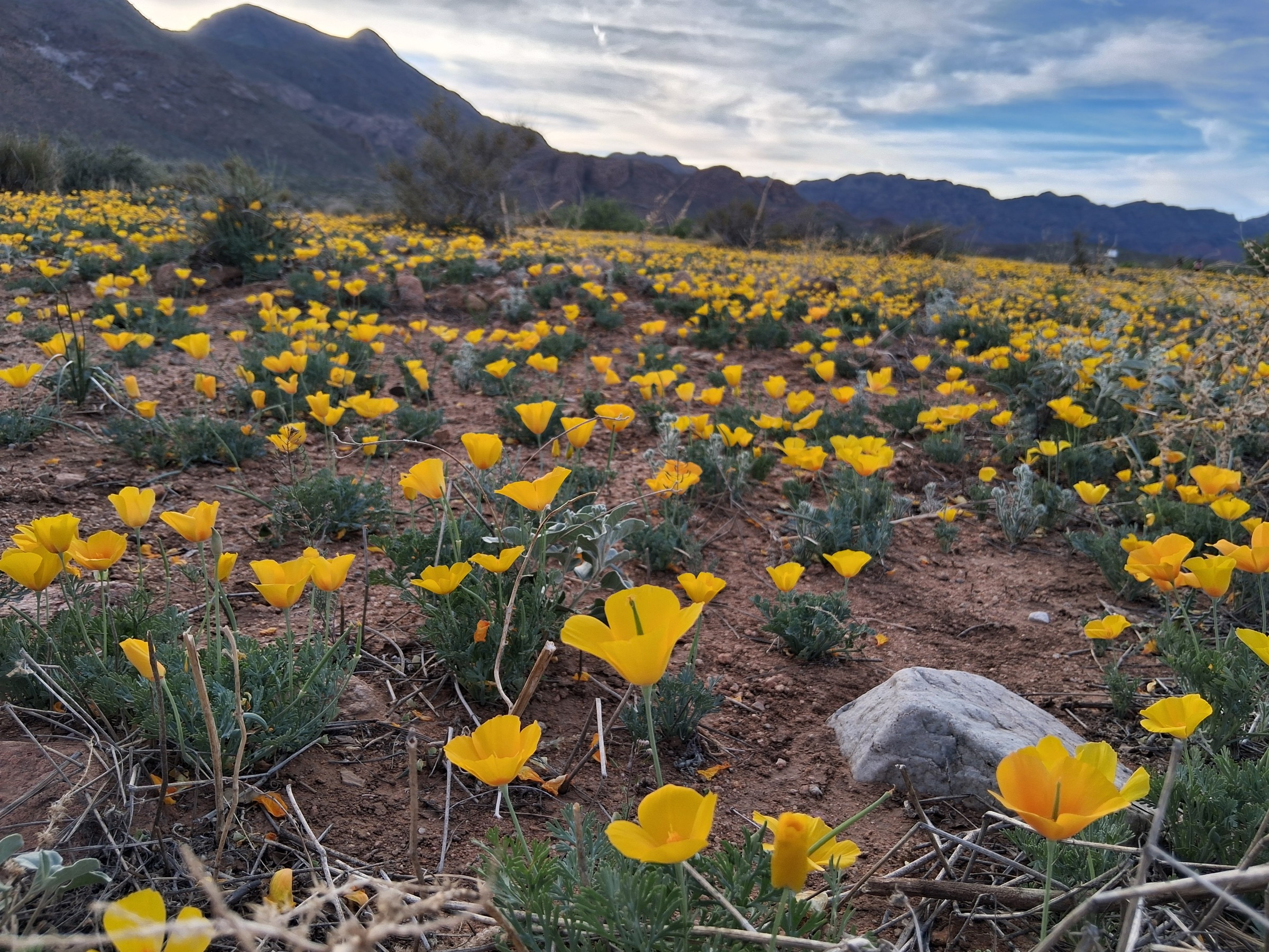 USA — Franklin Mountains, Texas: essential day-hikes