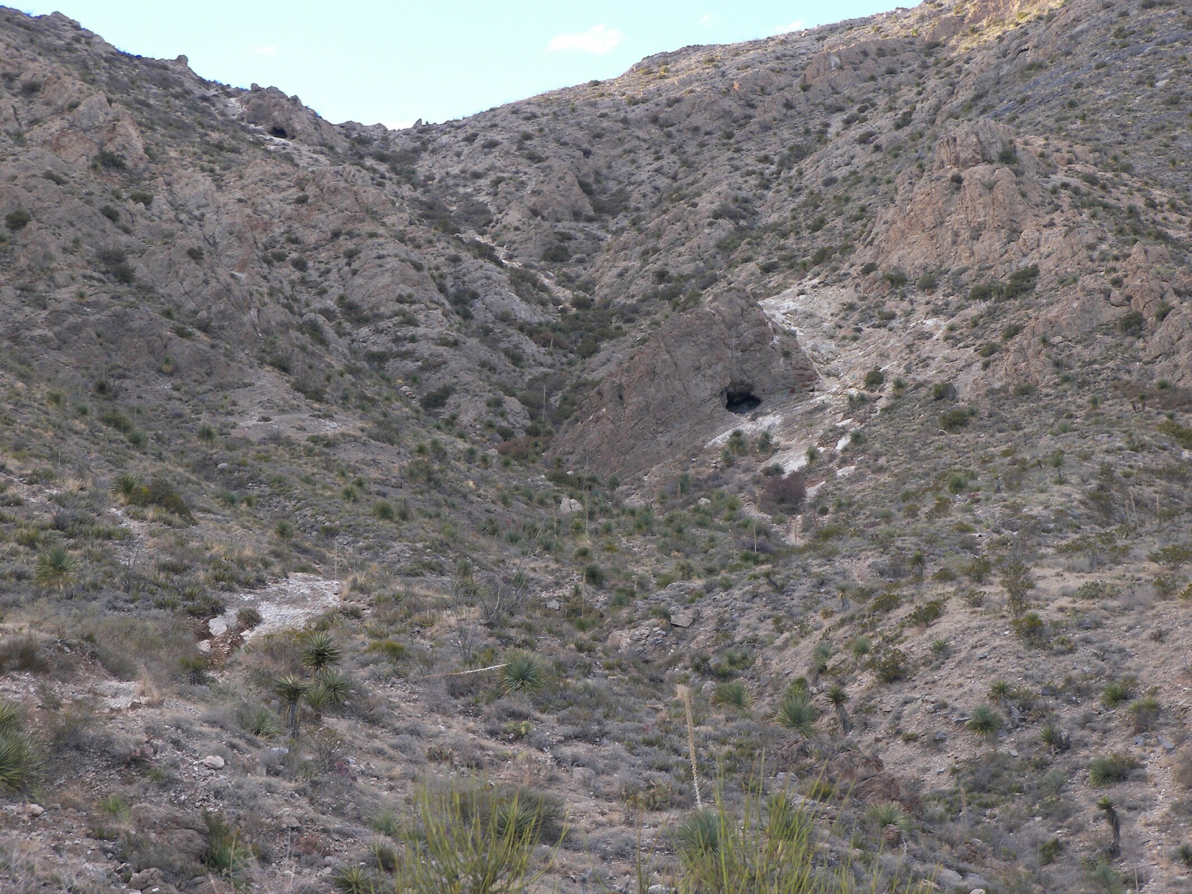 Cavités rocheuses le long du Ron Coleman Trail dans le Franklin Mountains State Park