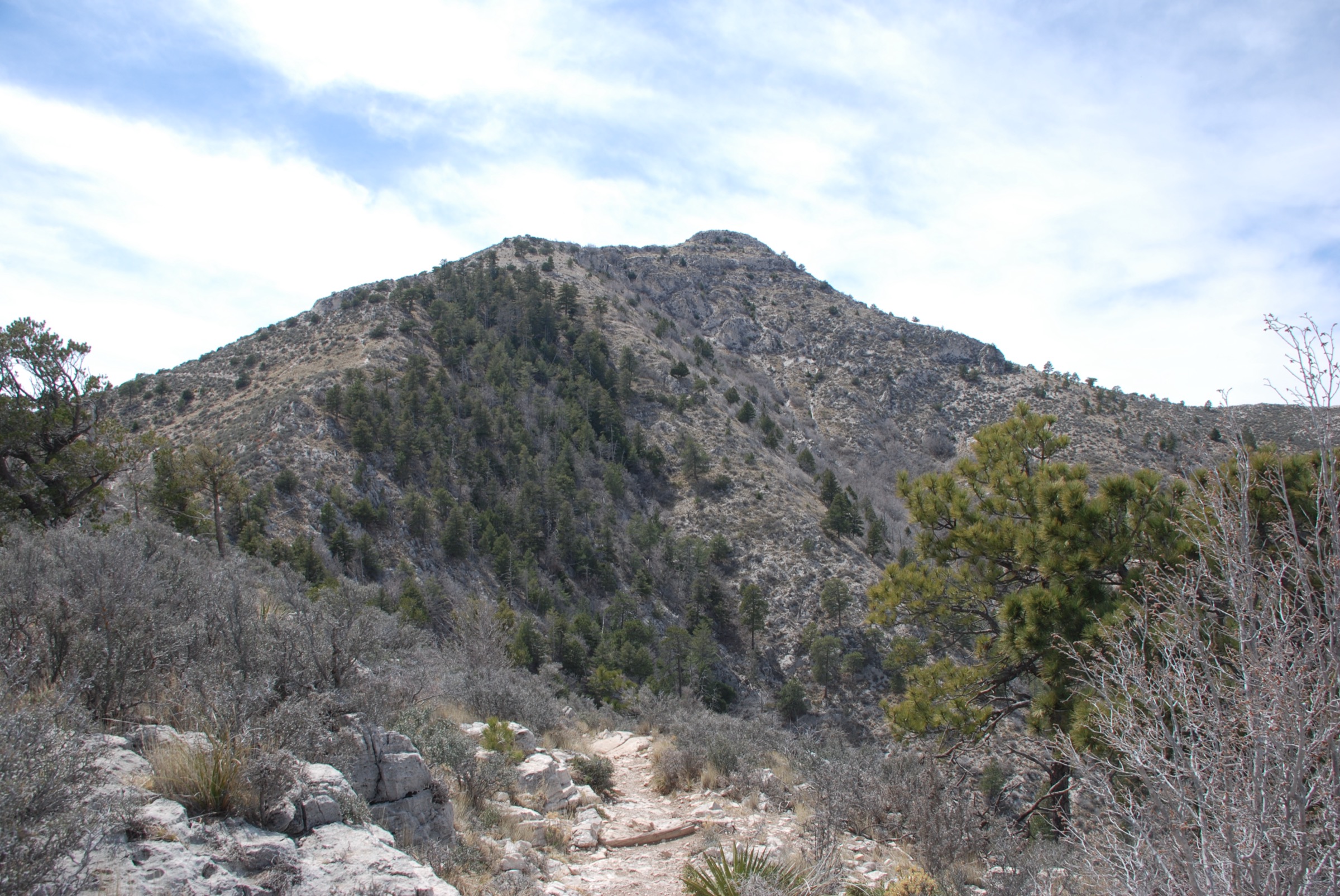 Guadalupe Peak depuis le Guadalupe Peak Trail