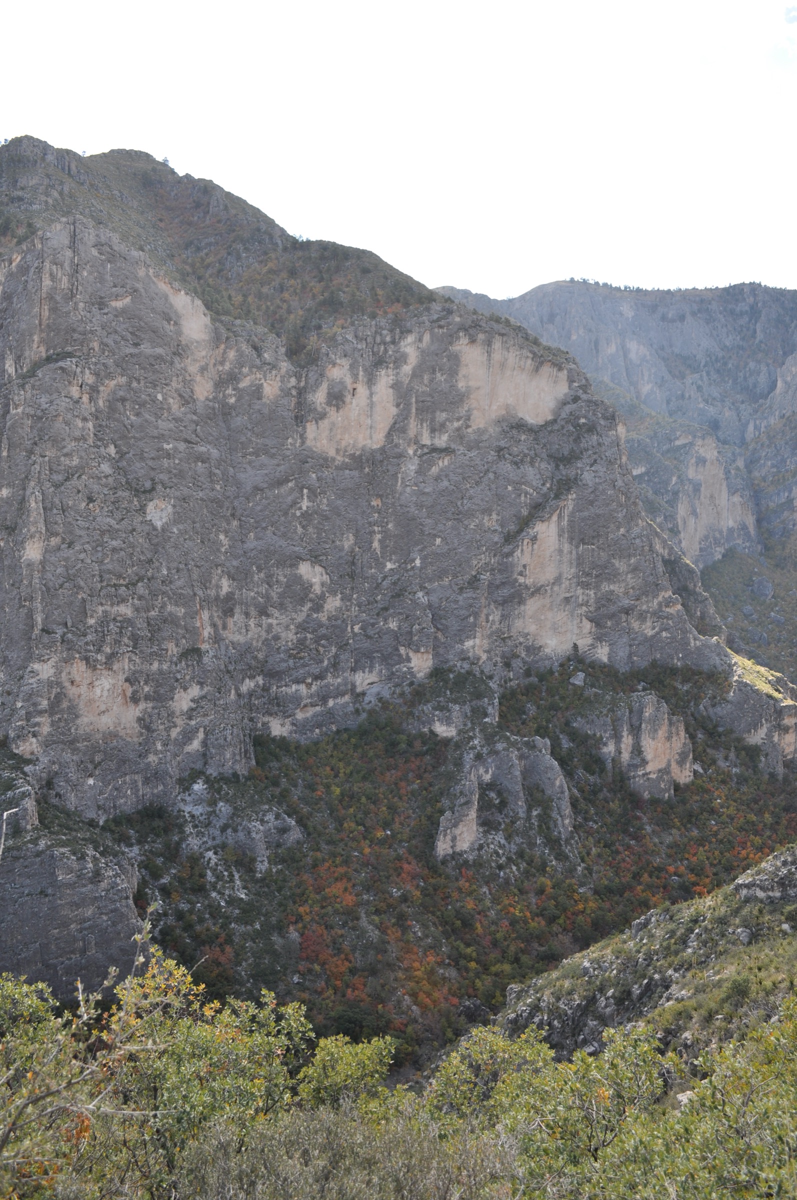 McKittrick Canyon, Guadalupe Mountains National Park