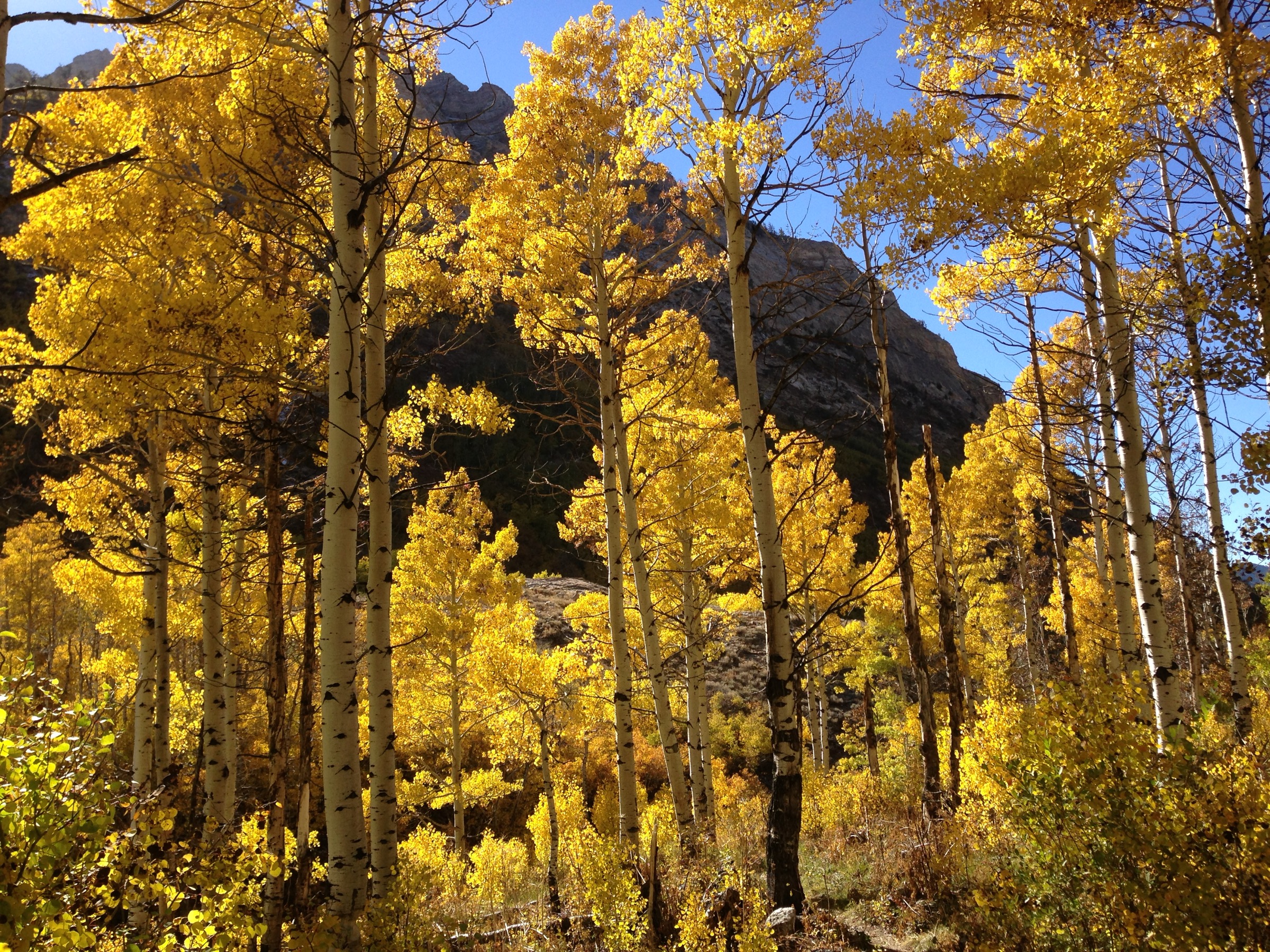 USA — Ruby Mountains, Nevada: essential day-hikes