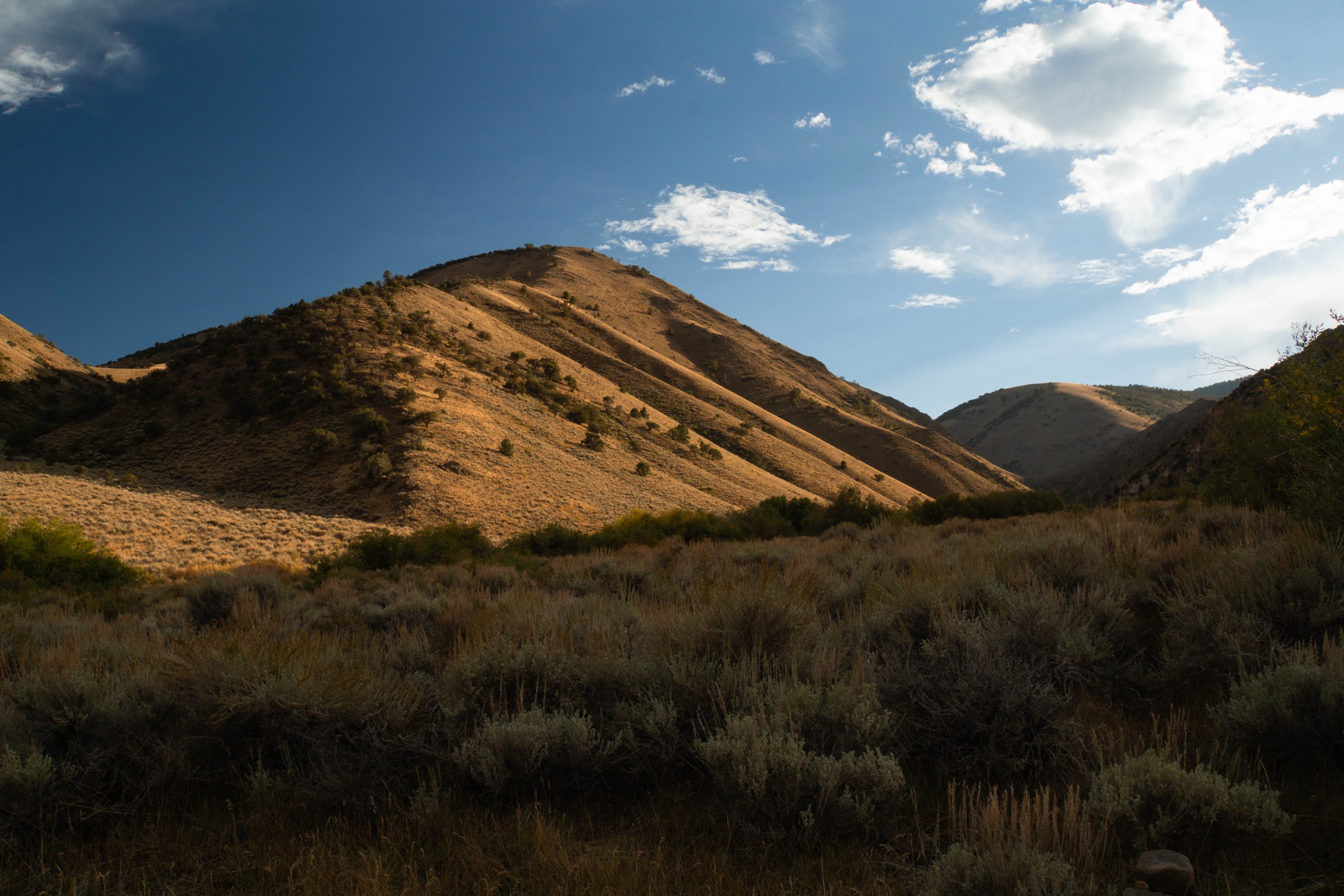 Arc Dome et la wilderness environnante, sud de la Toiyabe Range, Nevada