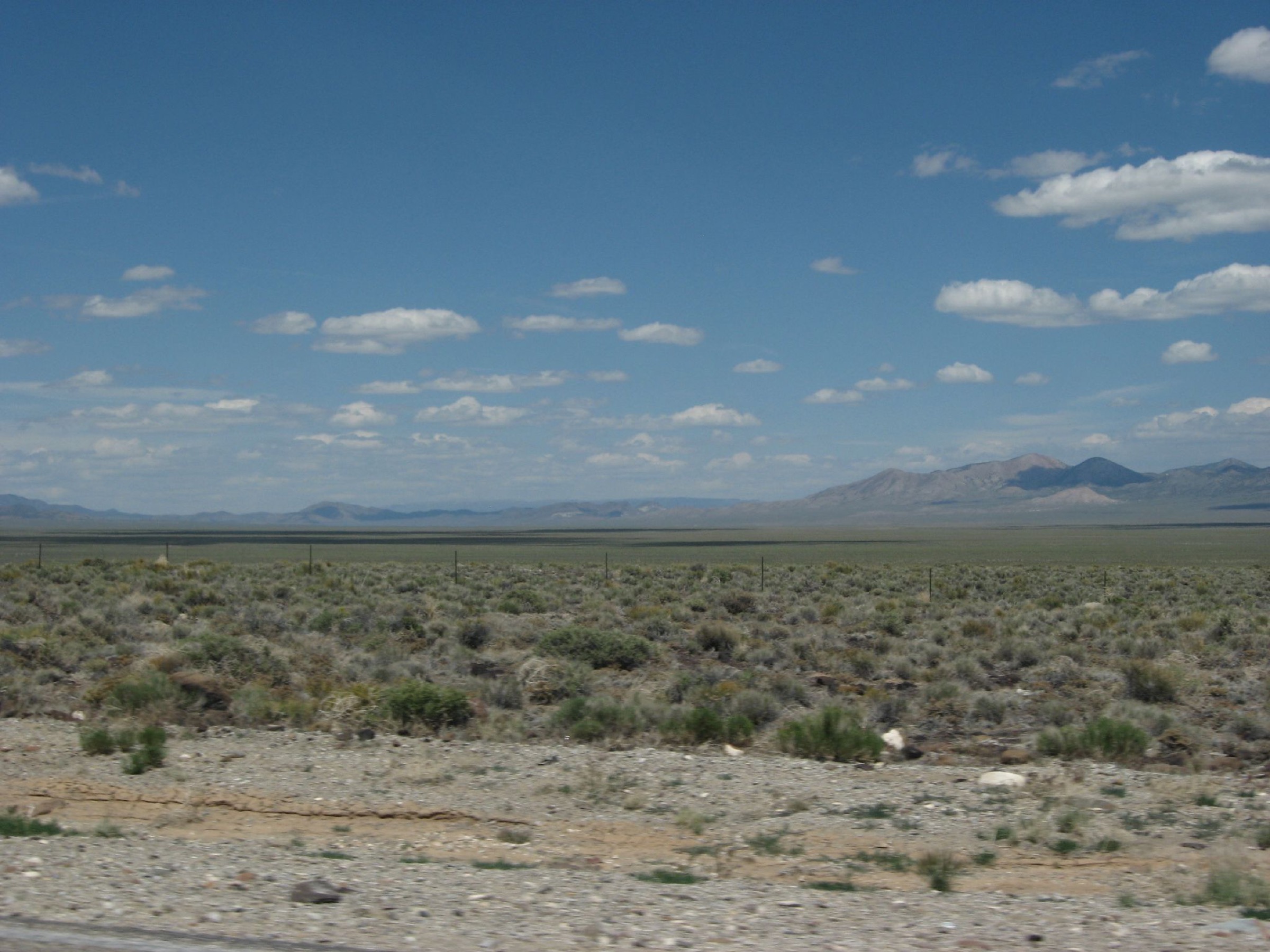 Vallée d'armoises du centre du Nevada entre les Toquima et Monitor Ranges