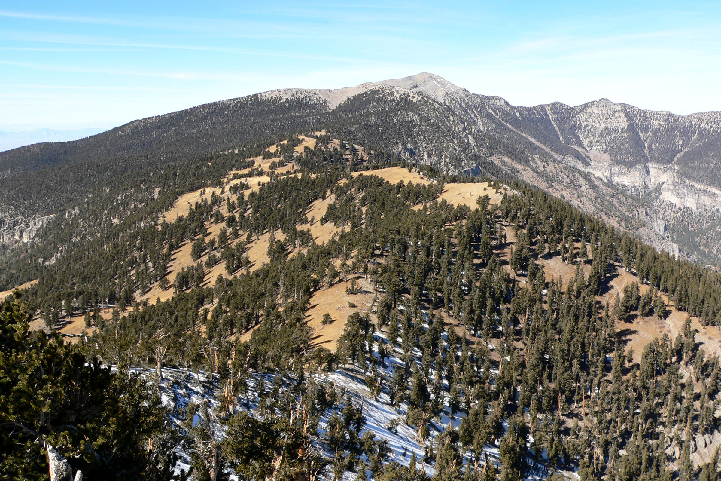Charleston Peak vu depuis Griffith Peak dans les Spring Mountains