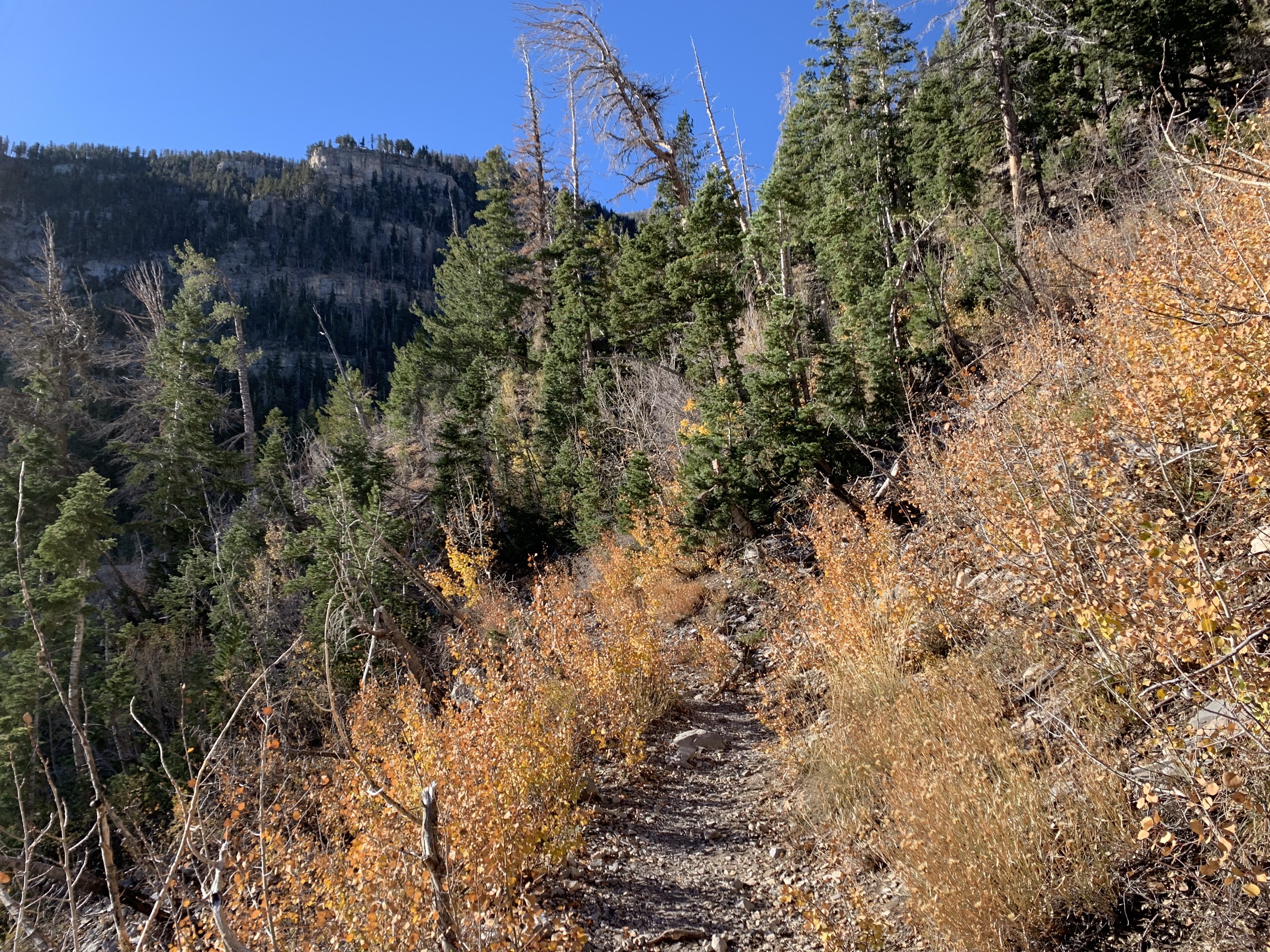 USA — Spring Mountains, Nevada: essential day-hikes