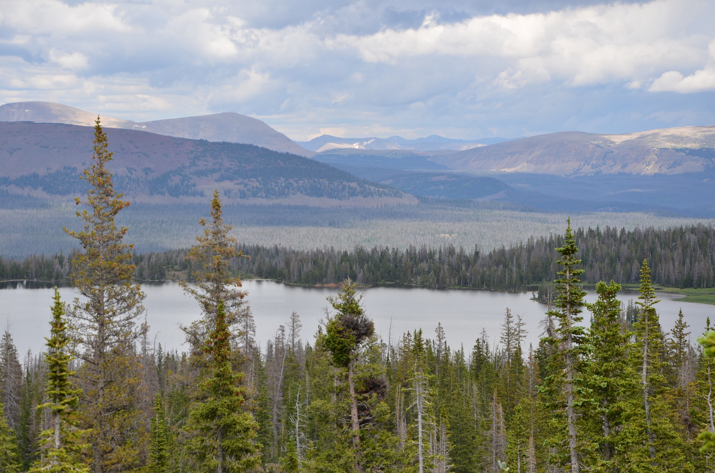 Grandaddy Lake in Ashley National Forest, the south-side High Uintas basin below Hades Pass