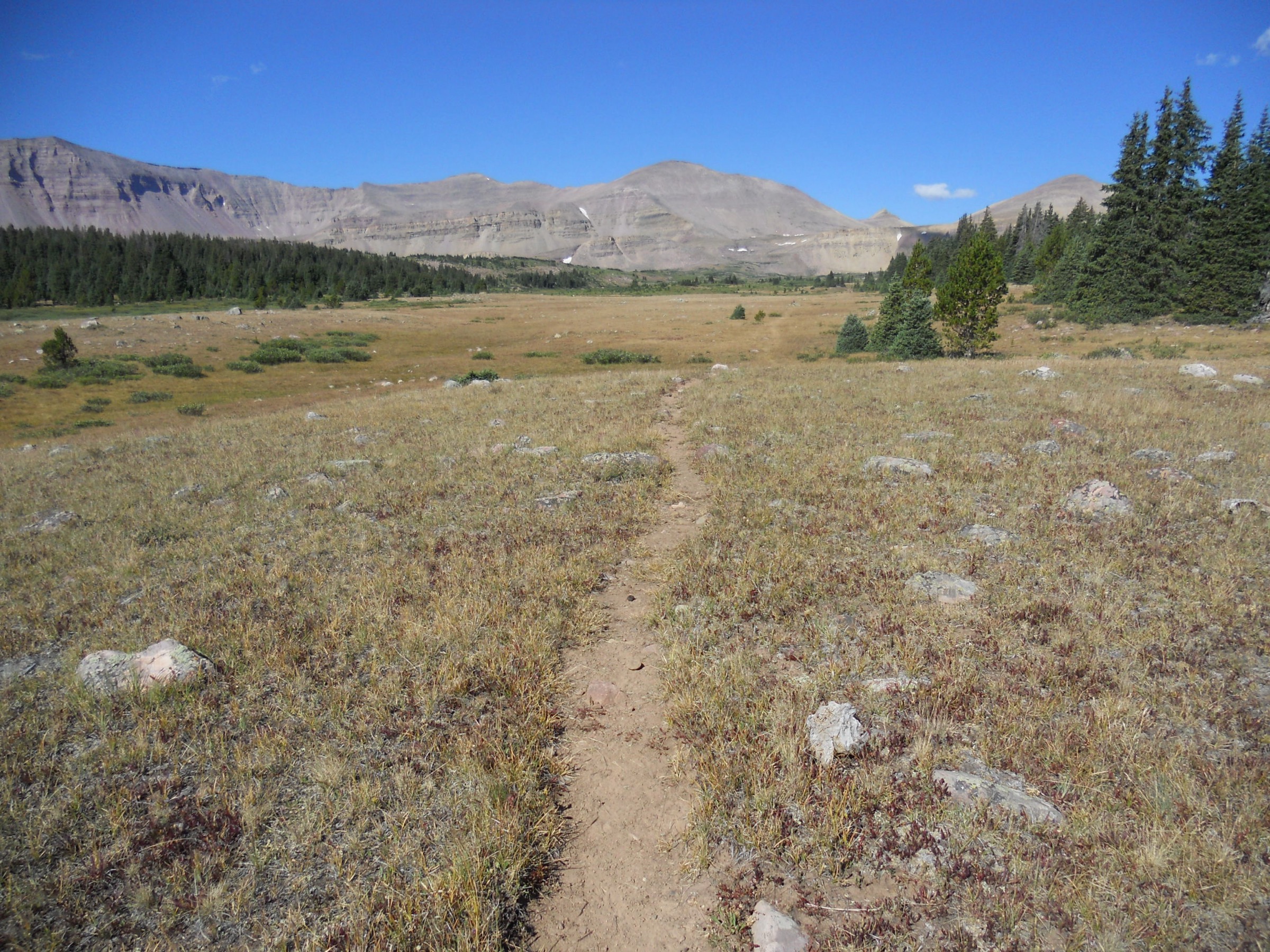 Uinta Highline Trail in Painter Basin, Duchesne County, Utah
