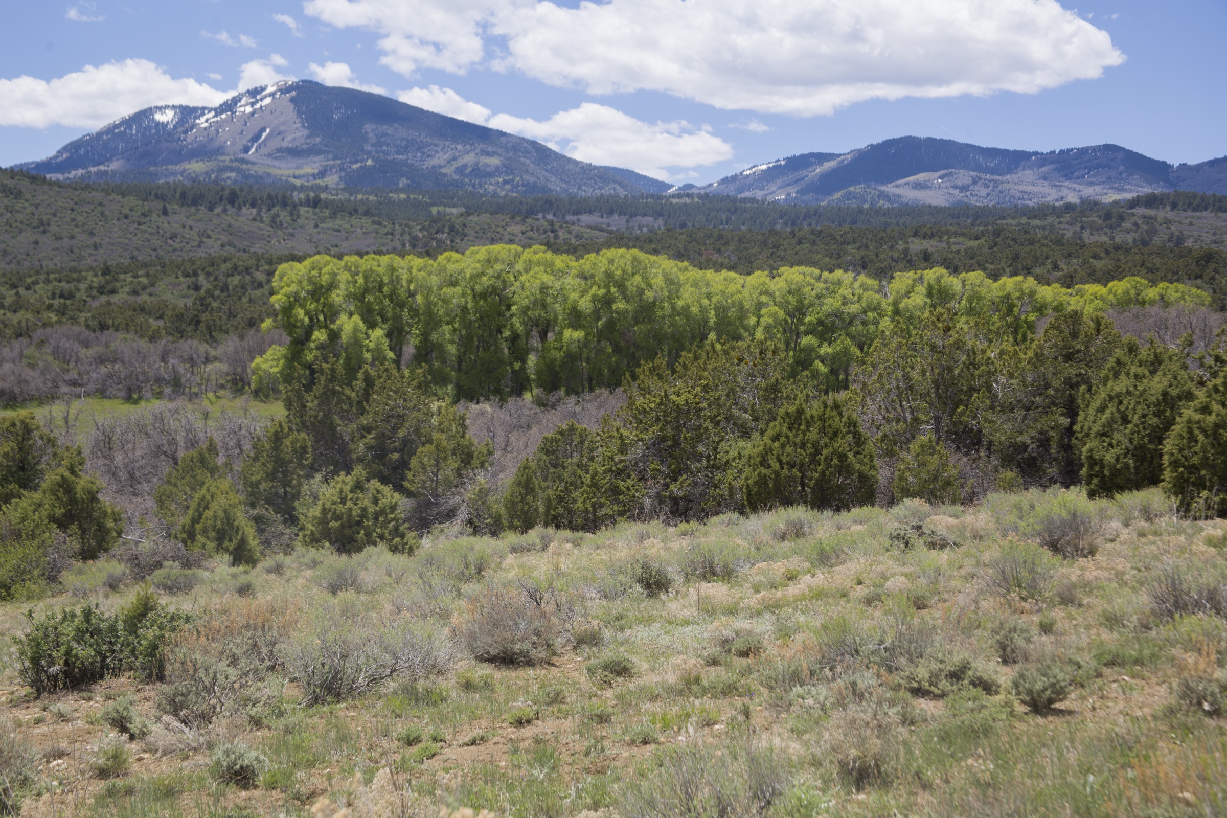 USA — Abajo Mountains, Utah: essential day-hikes