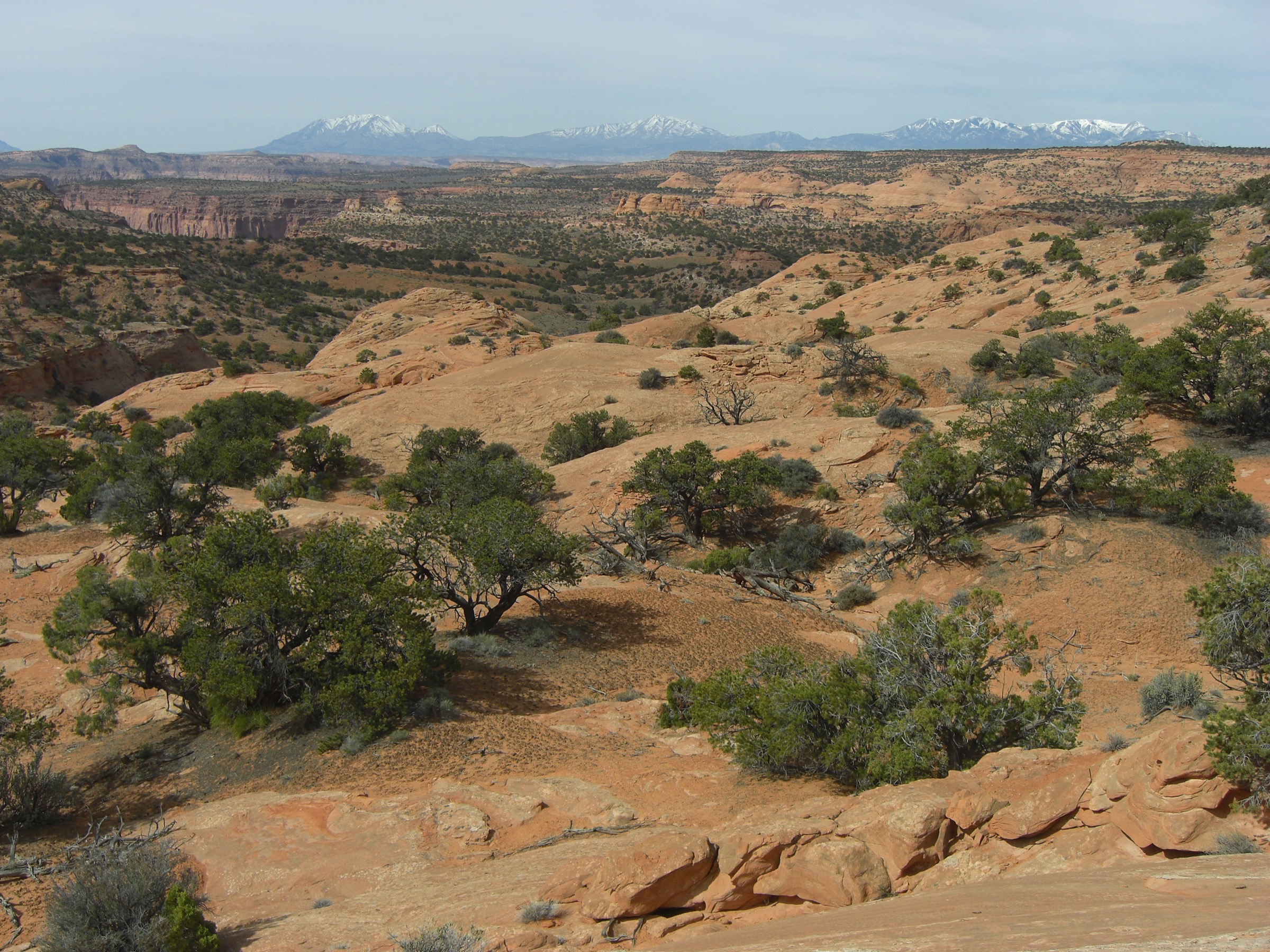 USA — Henry Mountains, Utah: essential day-hikes
