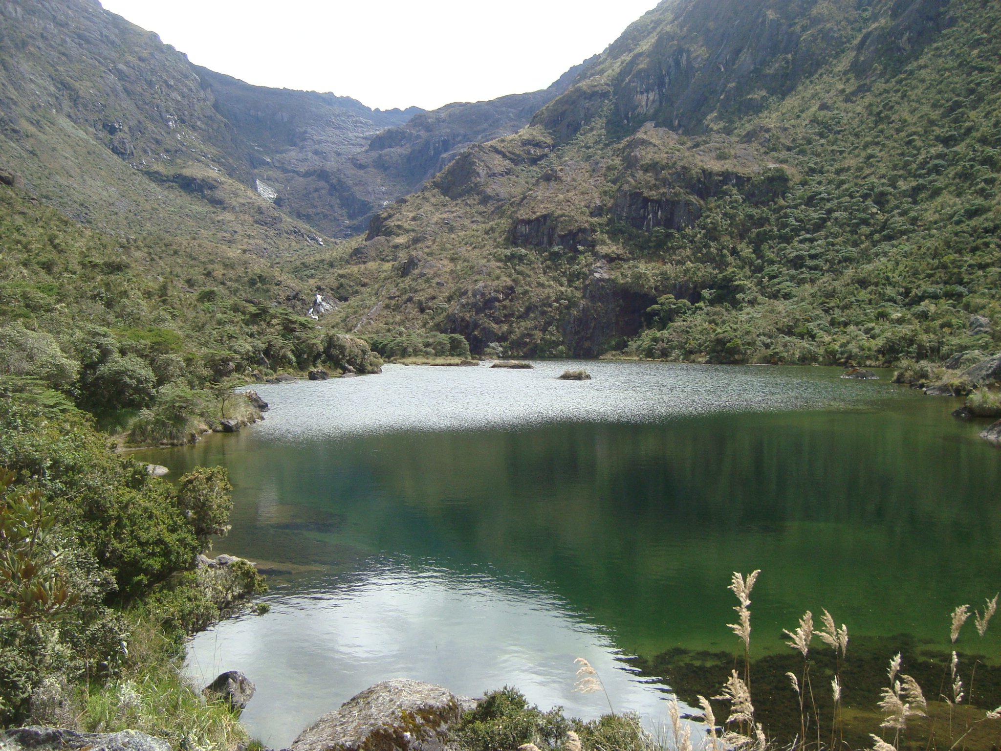 Laguna de la Coromoto