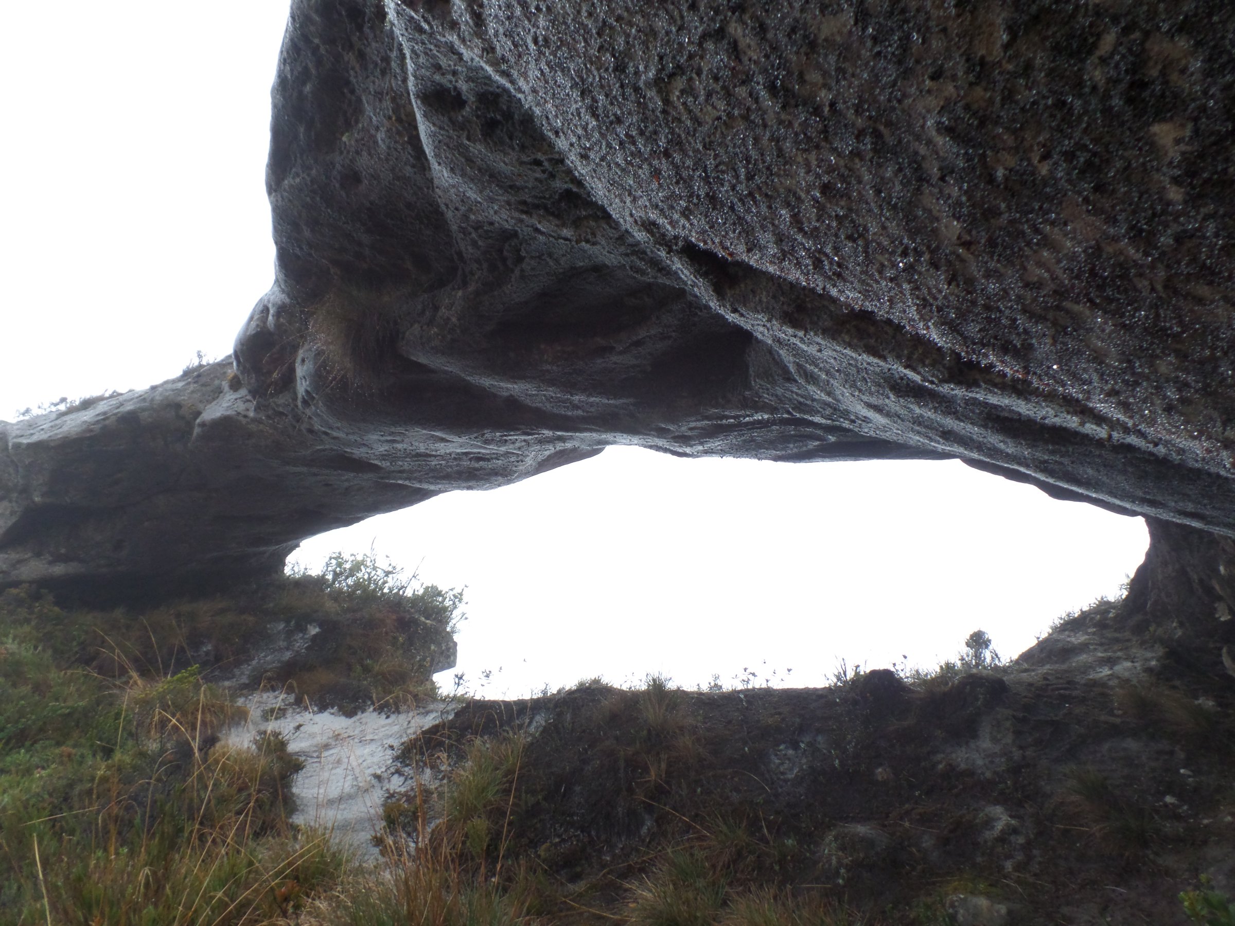 La Ventana del Páramo El Tamá