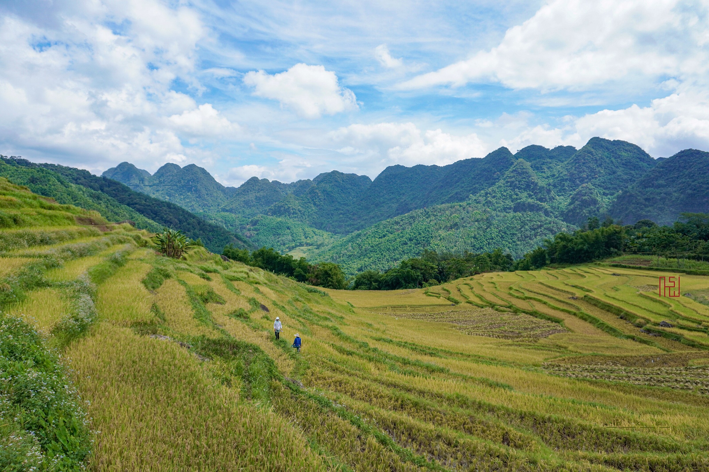 Terraced rice fields in Pu Luong Nature Reserve, Thanh Hoa, Vietnam