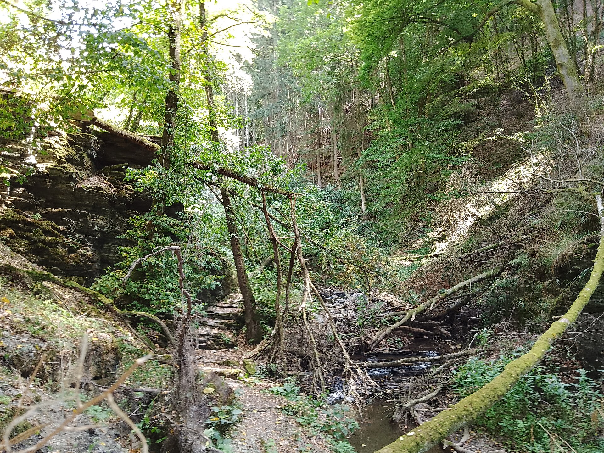 Rochers dans la Baybachklamm