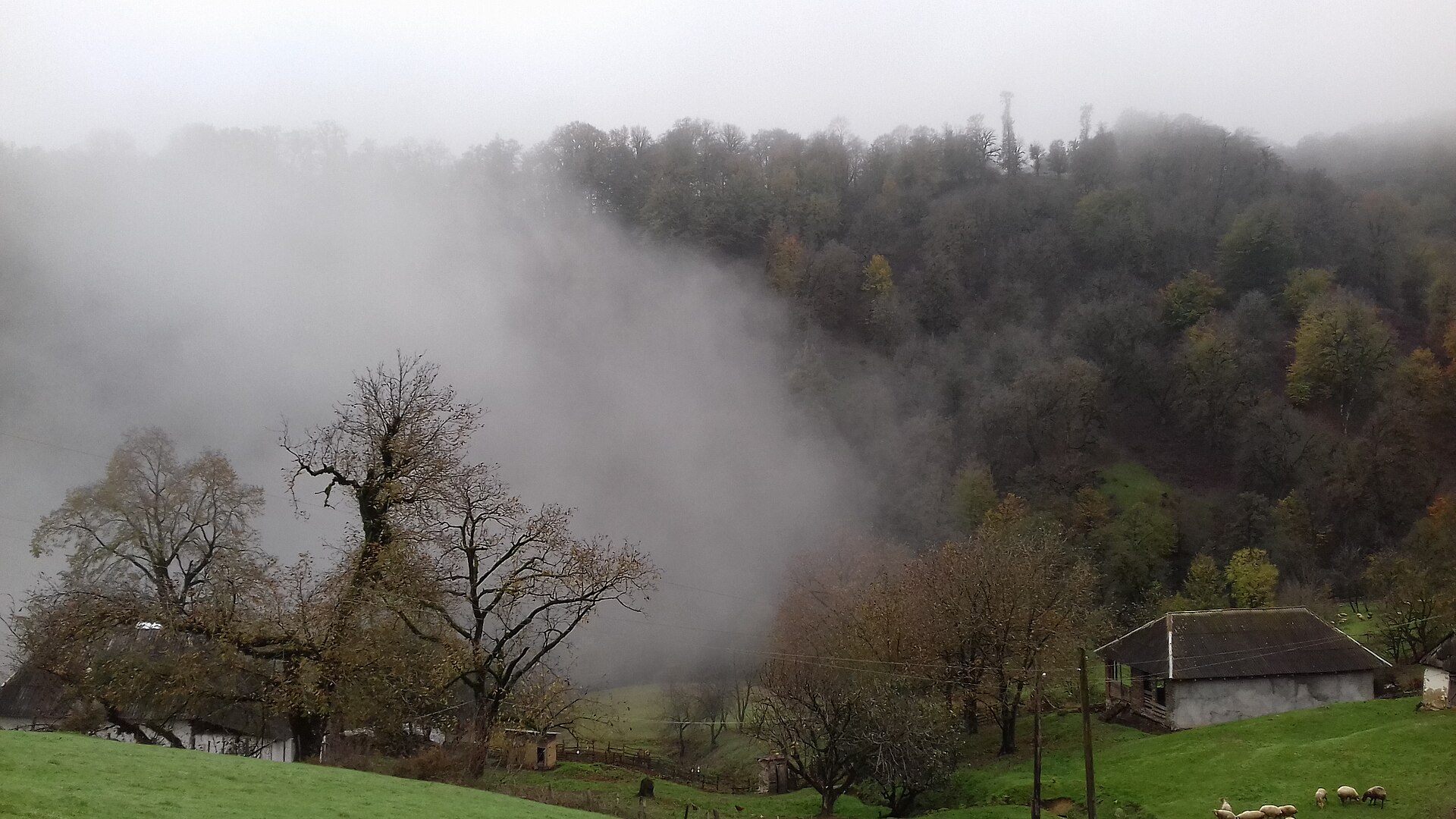 Autumn foliage and misty wooded hills in Hirkan National Park