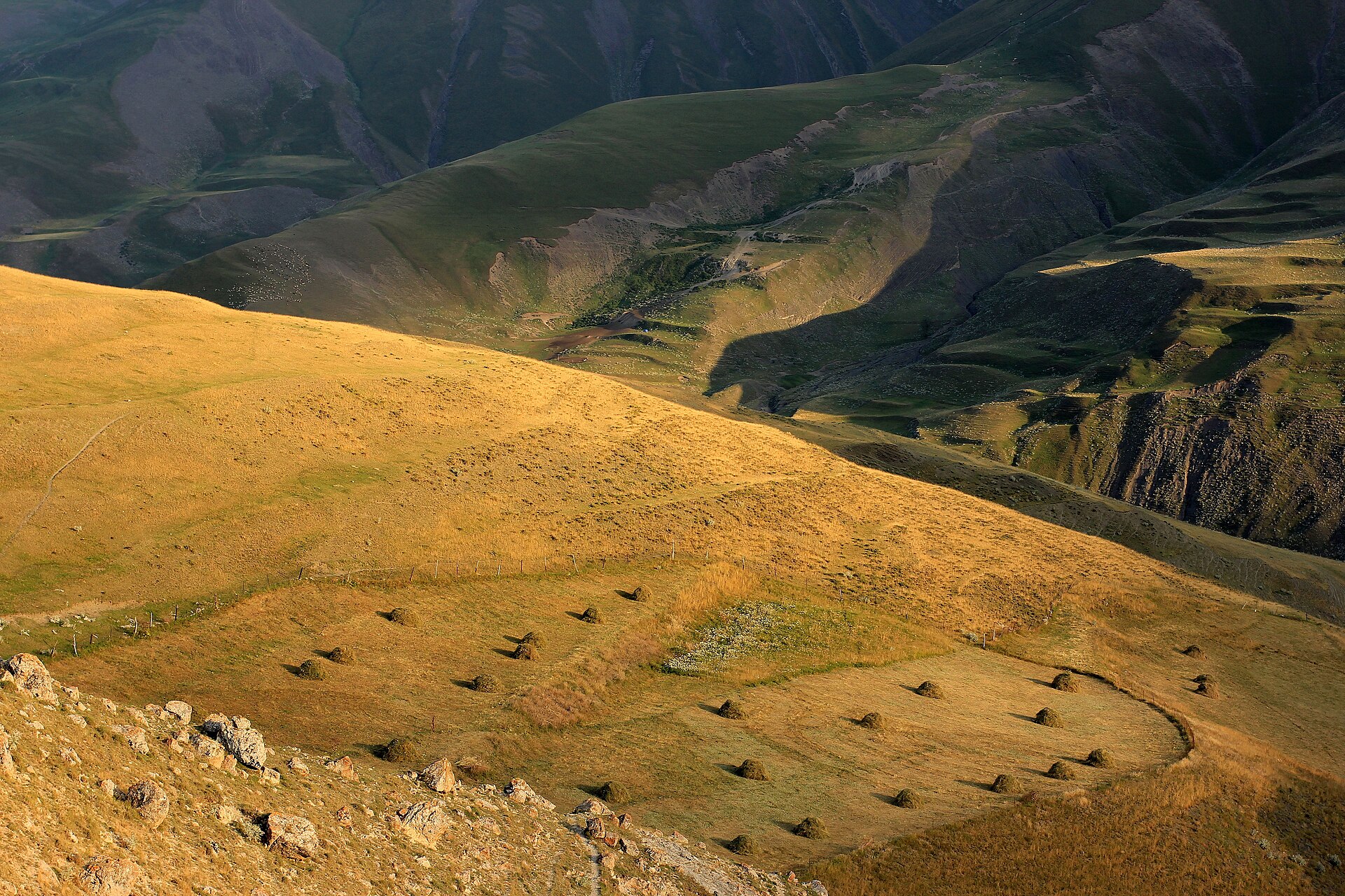 A flock grazing on immense golden mountain slopes near Khinalig