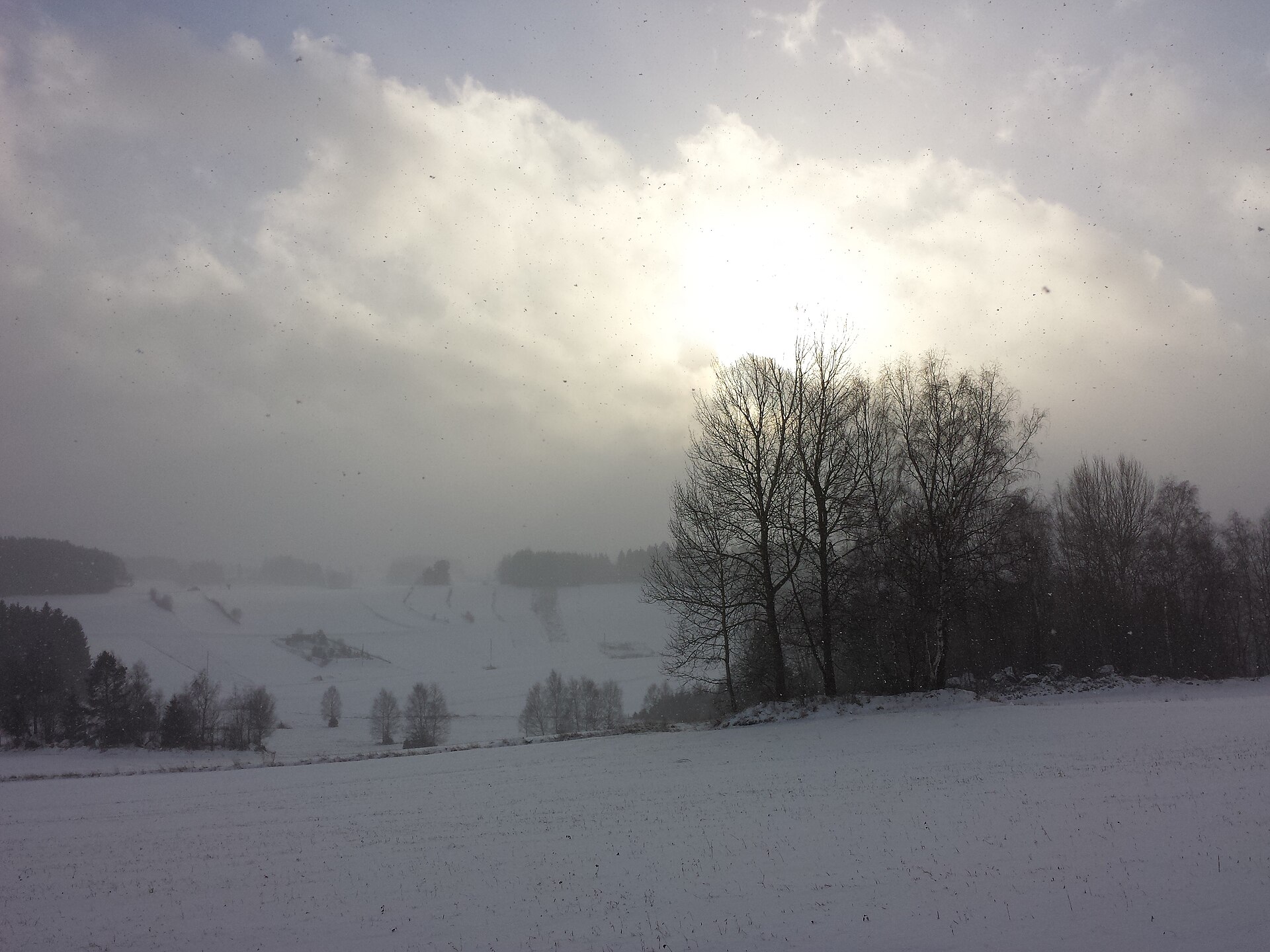 Snow falling across fields and bare trees in Austria's Waldviertel