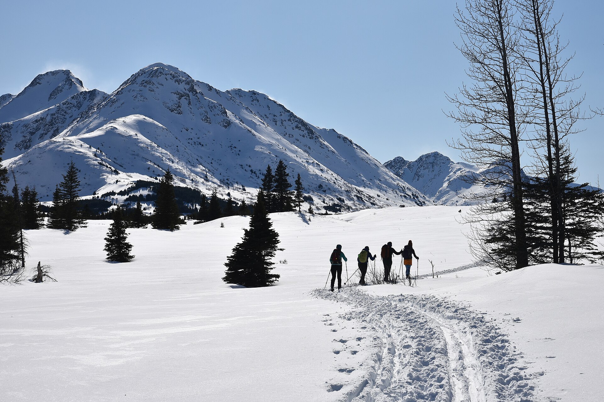 A ski-touring group crossing a snowy basin in Alaska's Chugach Mountains