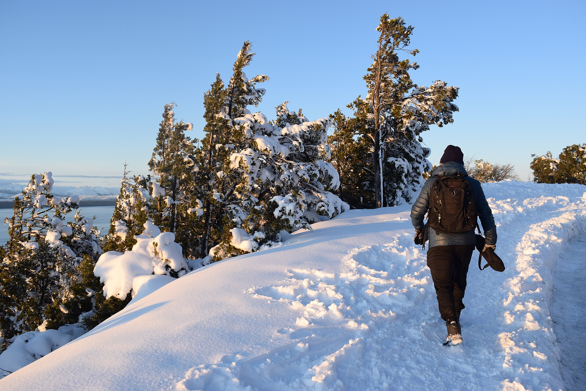 Une personne marchant sur un sentier enneigé entre des arbres bas sur le Cerro Otto