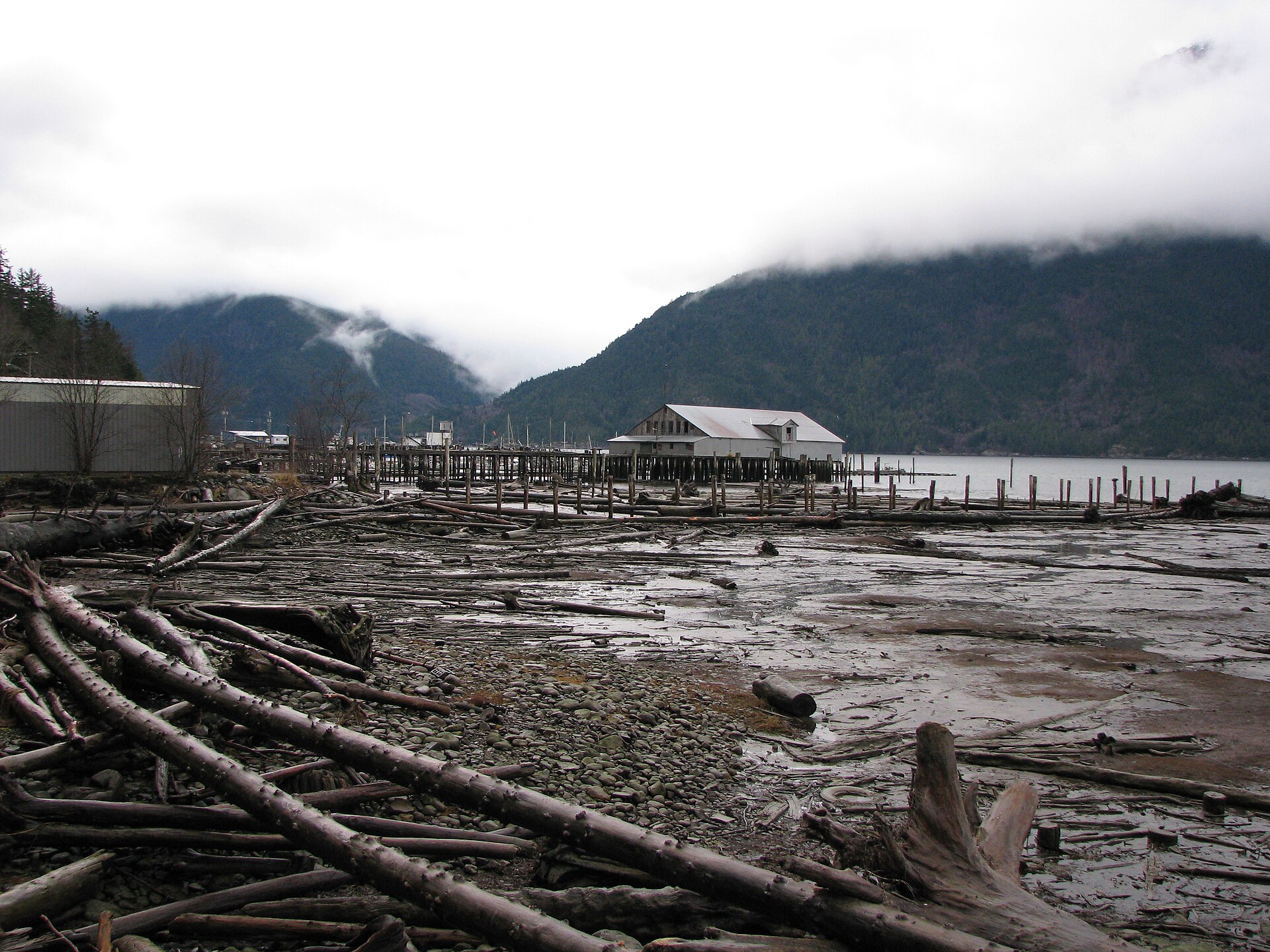 L'estuaire de Bella Coola au pied de montagnes boisées