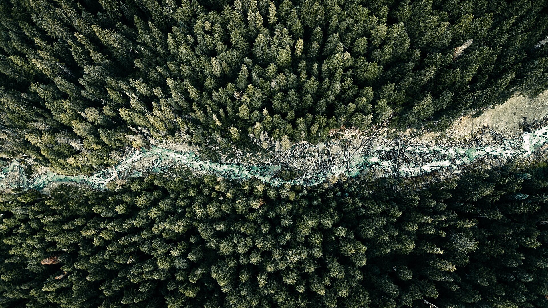 La rivière Nusatsum coulant à travers la dense forêt pluviale du Grand Ours