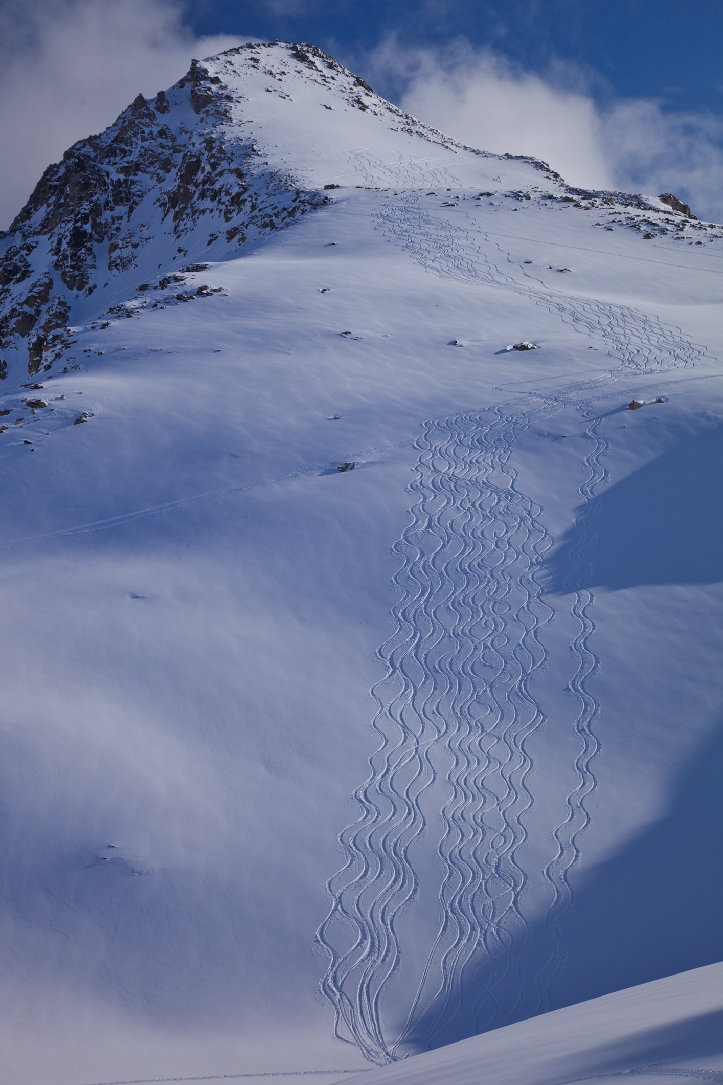 Des traces de ski fraîches descendant une pente de poudreuse, en Colombie-Britannique