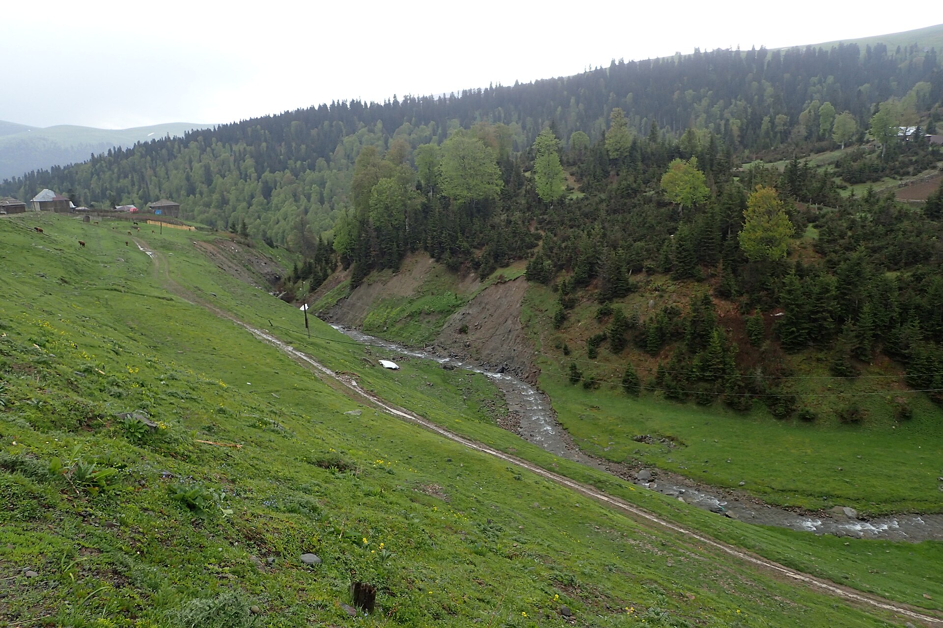 A steep forested valley near Goderdzi Pass in Upper Adjara