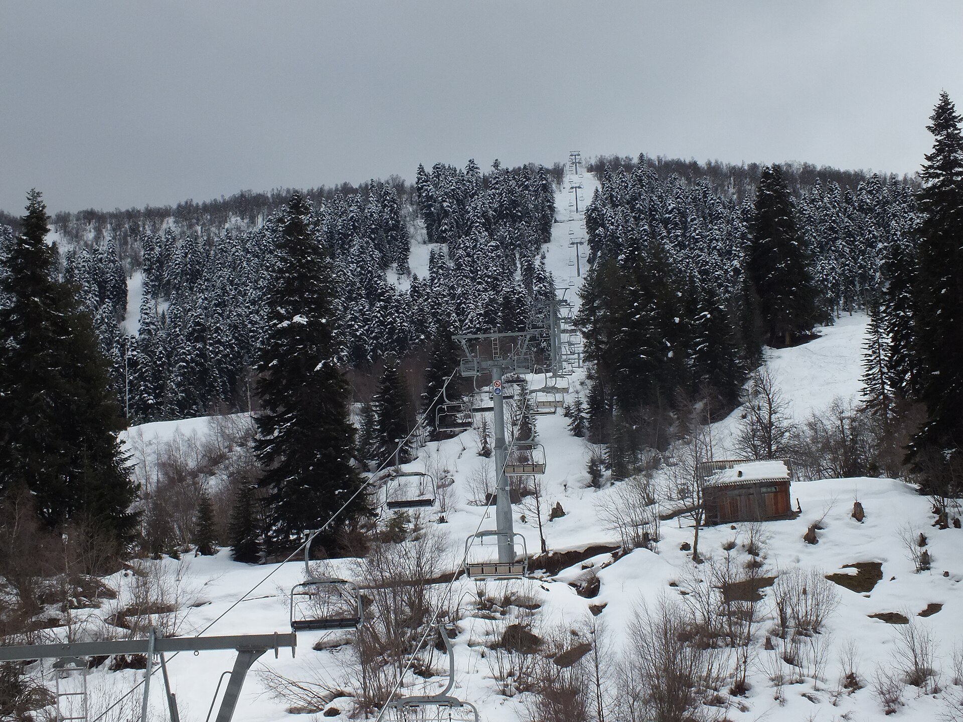A chairlift climbing through snowy forest near Mestia