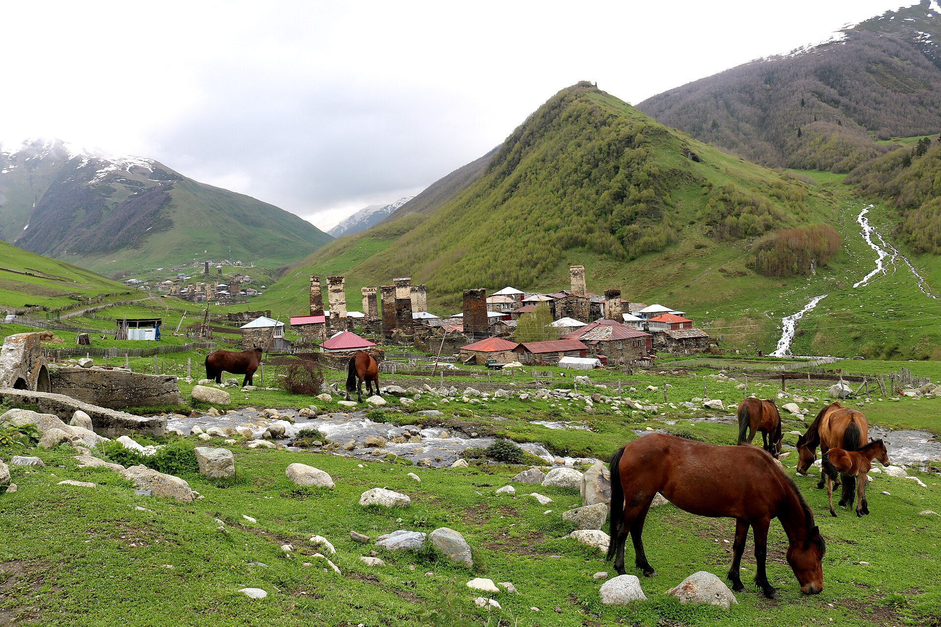 Horses grazing beside the tower village of Murkmeli in Ushguli