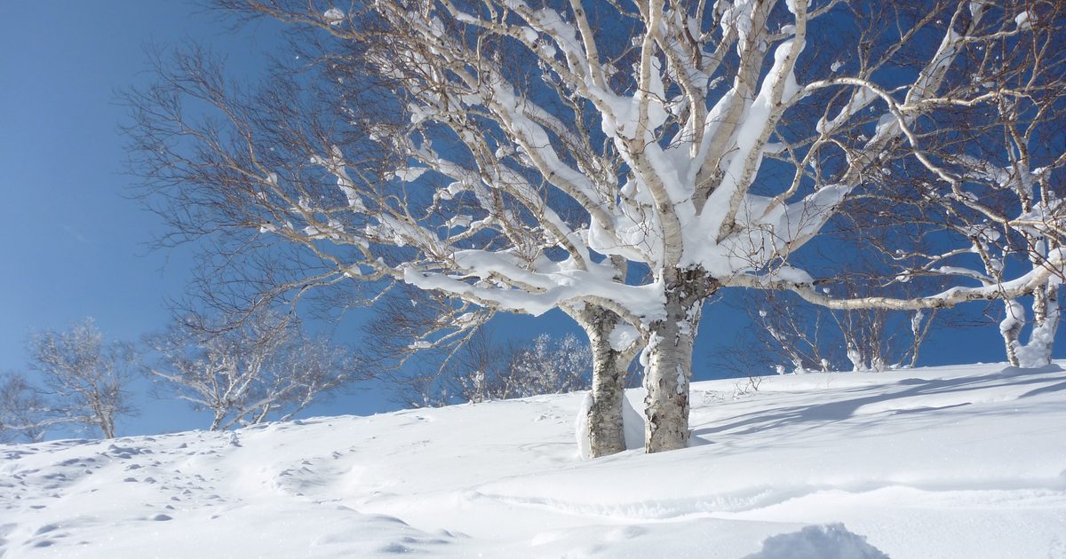 Ski Touring in Hokkaido: Powder and Volcanic Ridges | Storm