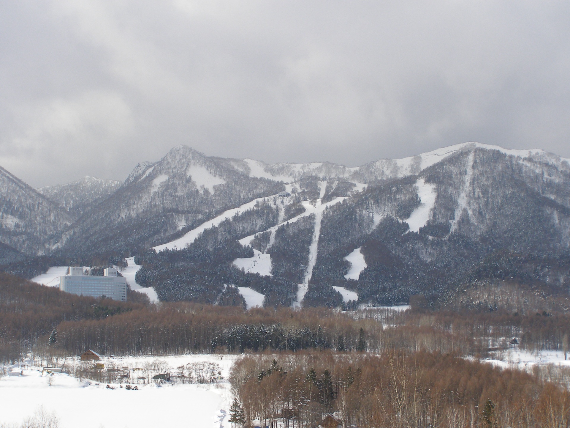 The snowy pistes and forested slopes of Furano Snow Resort