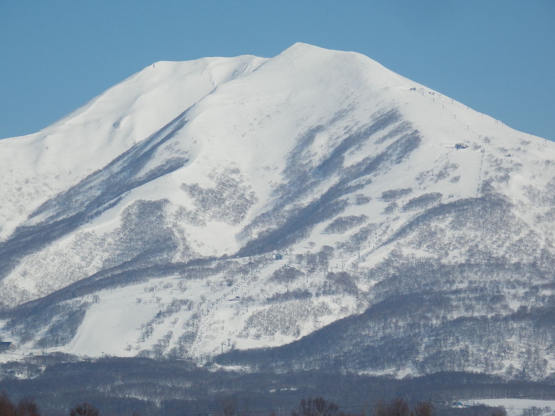 The white volcanic cone of Niseko Annupuri above winter forest