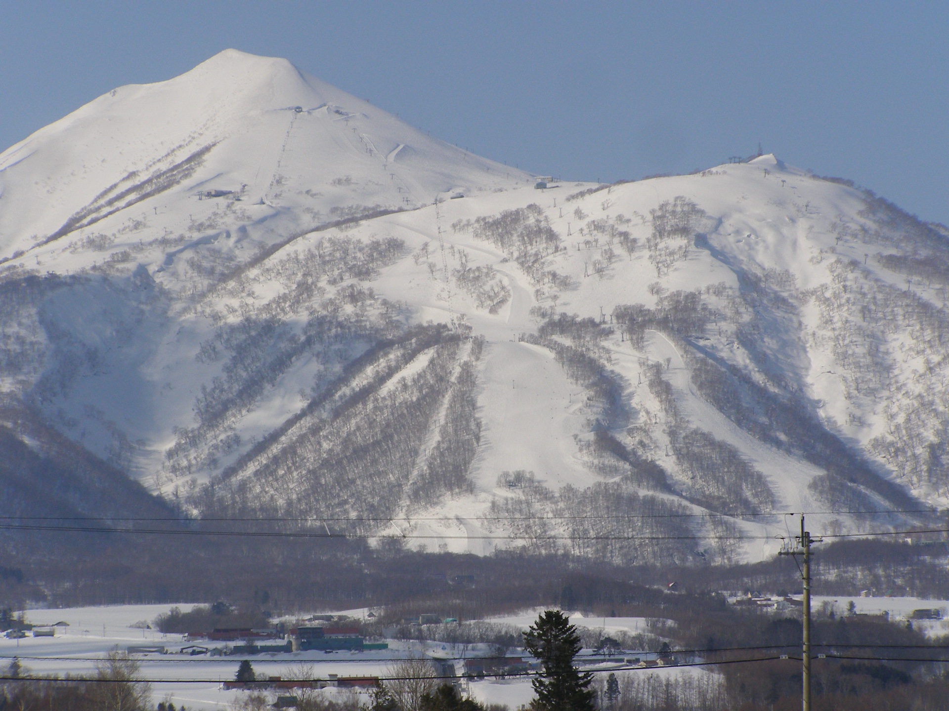 Niseko Higashiyama's white slopes and wooded ridges in winter