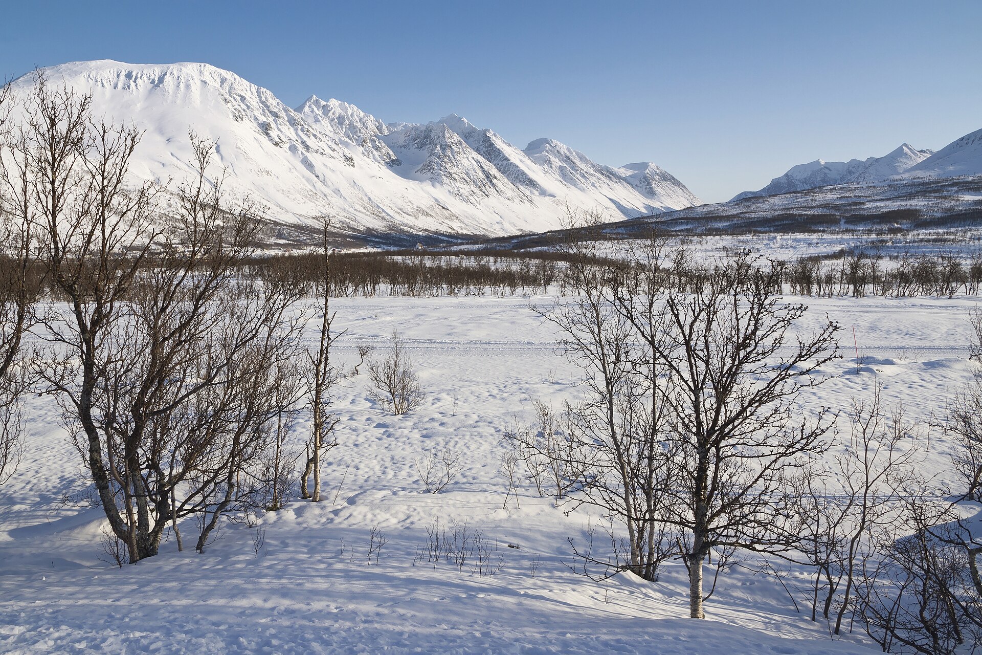 Snow-covered Lyngen Alps seen from Nord-Lenangen in March
