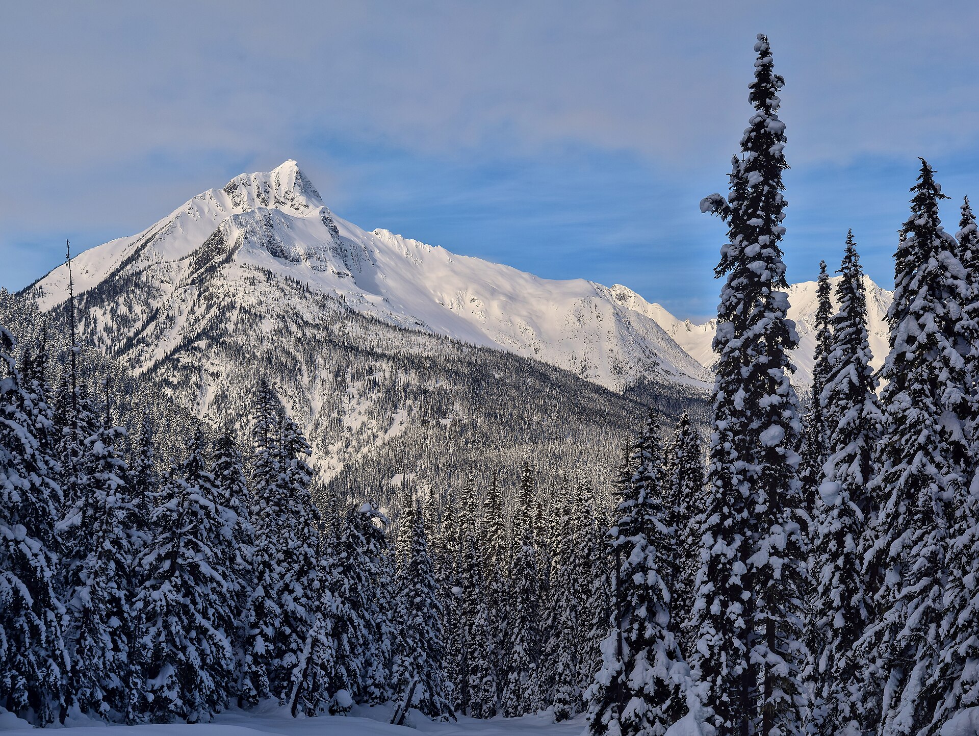 Le mont Cheops enneigé au-dessus de la forêt, dans le parc national des Glaciers