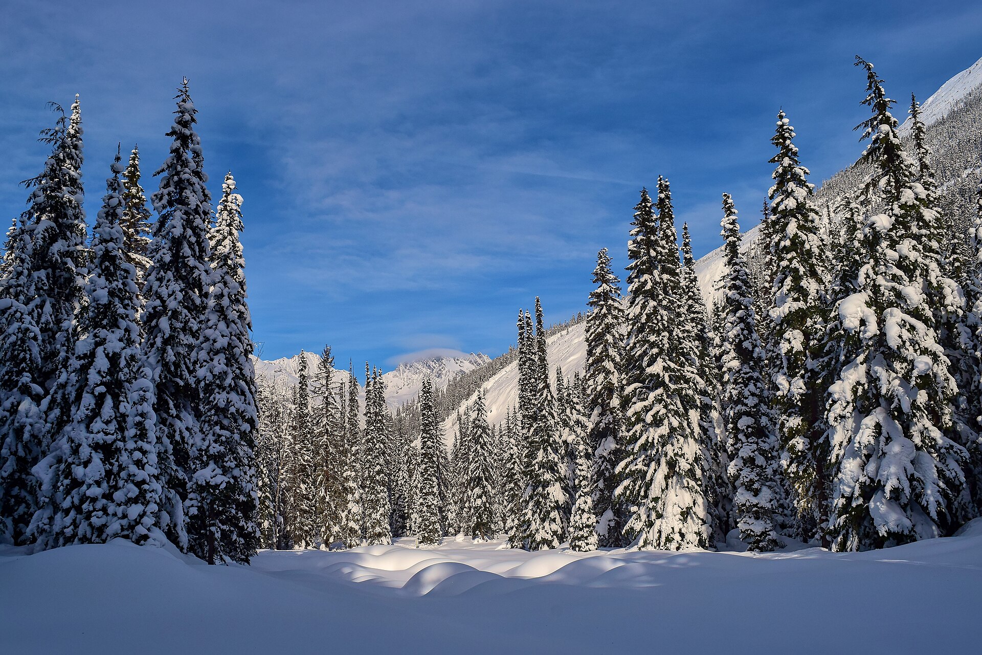 Le mont Tupper couvert de neige au-dessus du parc national des Glaciers